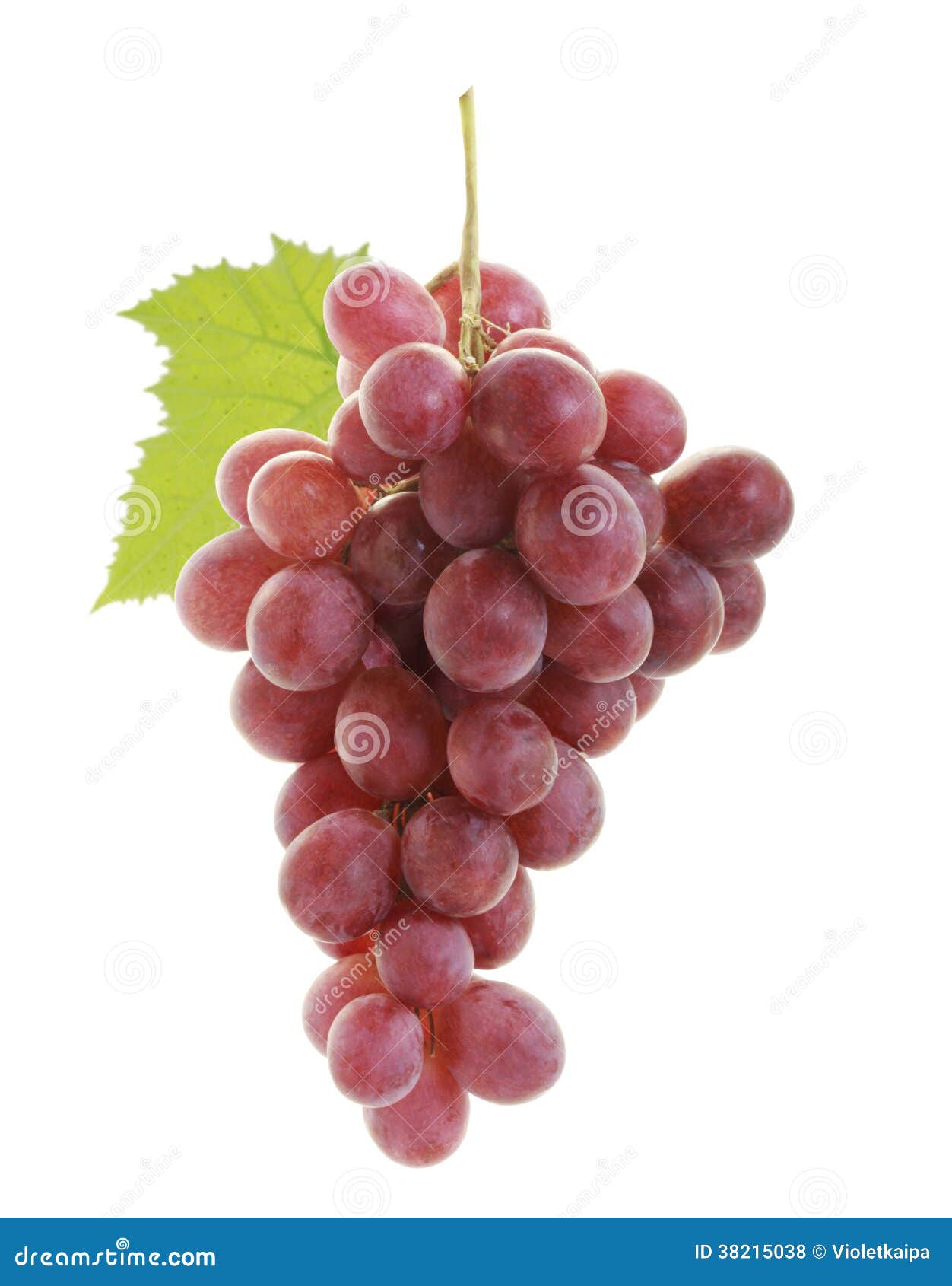 Raisin rouge photo stock. Image du nature, automne, vert 38215038