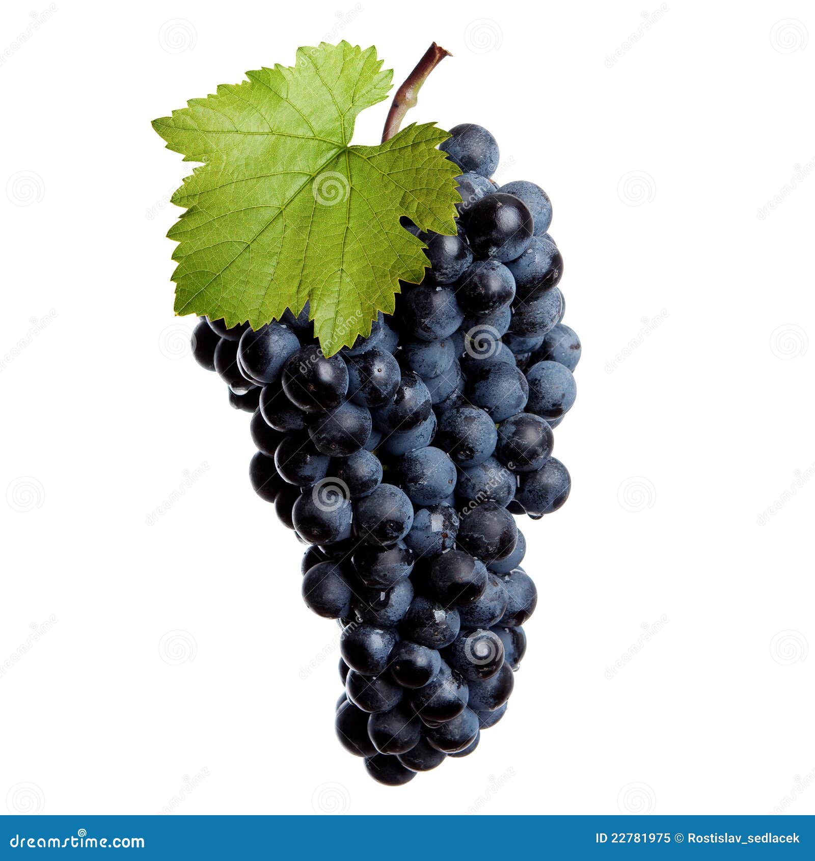 Raisins frais du vin rouge image stock. Image du ornement 22781975