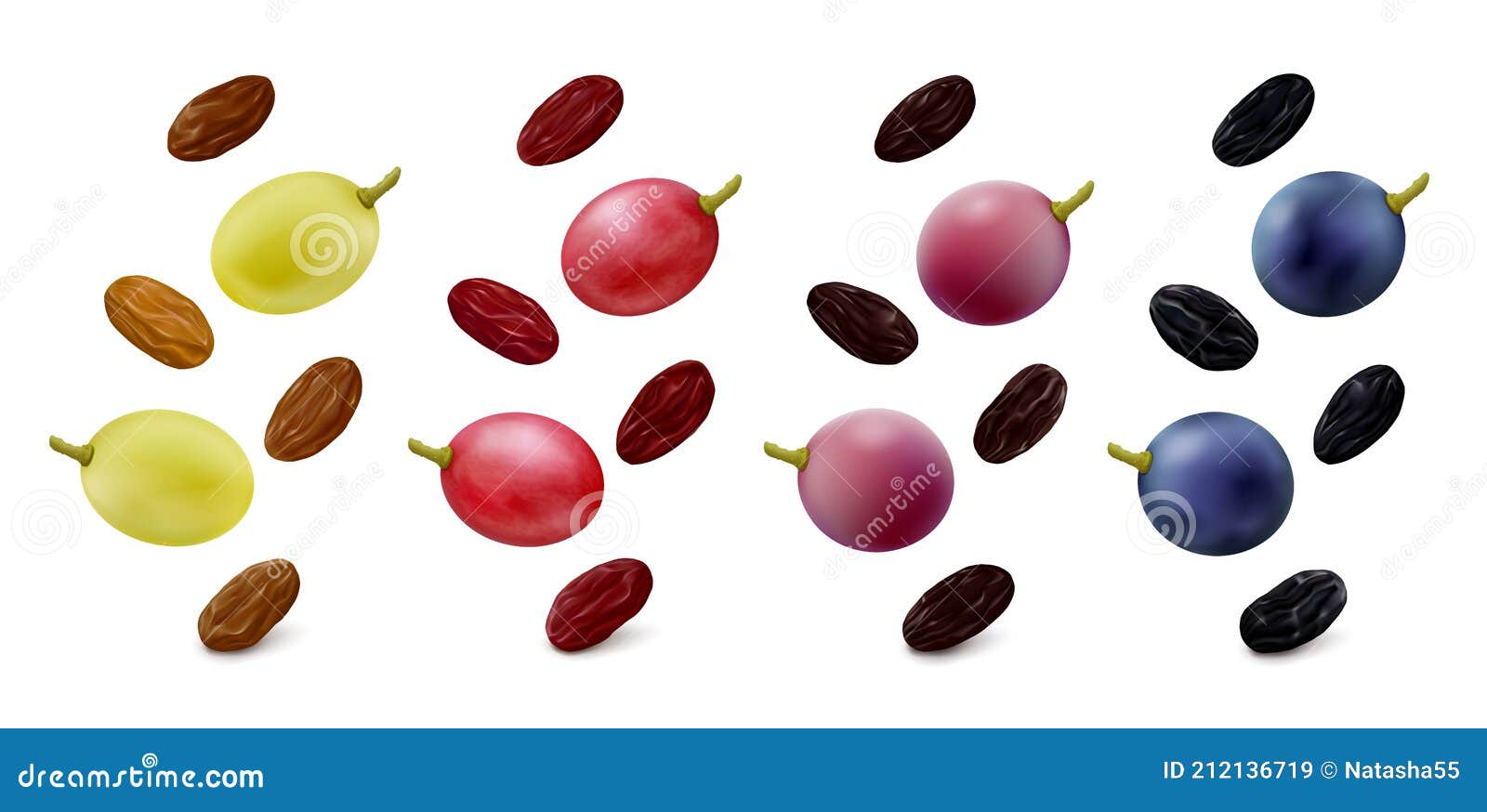 Raisins From Different Grapes In Dish. Grape Product, Vector
