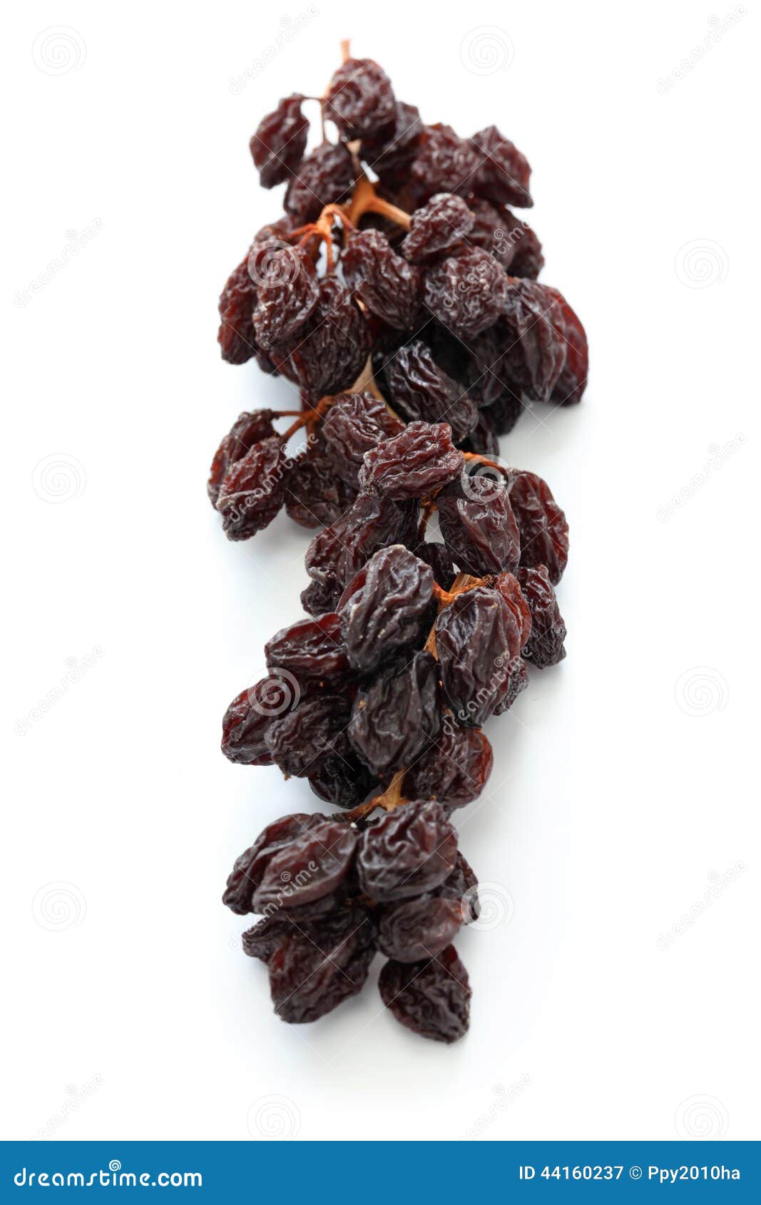 Raisins On The Vine Stock Photo Image 44160237
