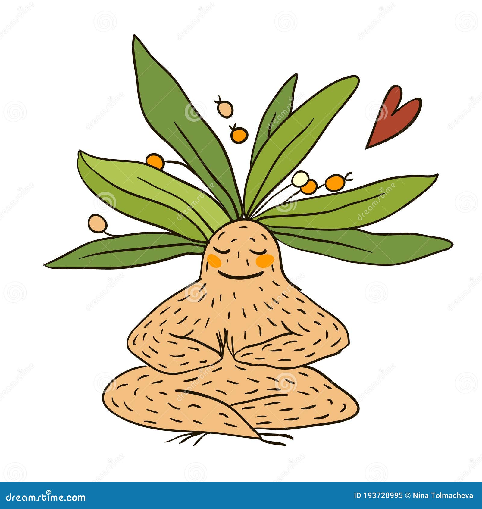 Objeto Decorativo Mandrake