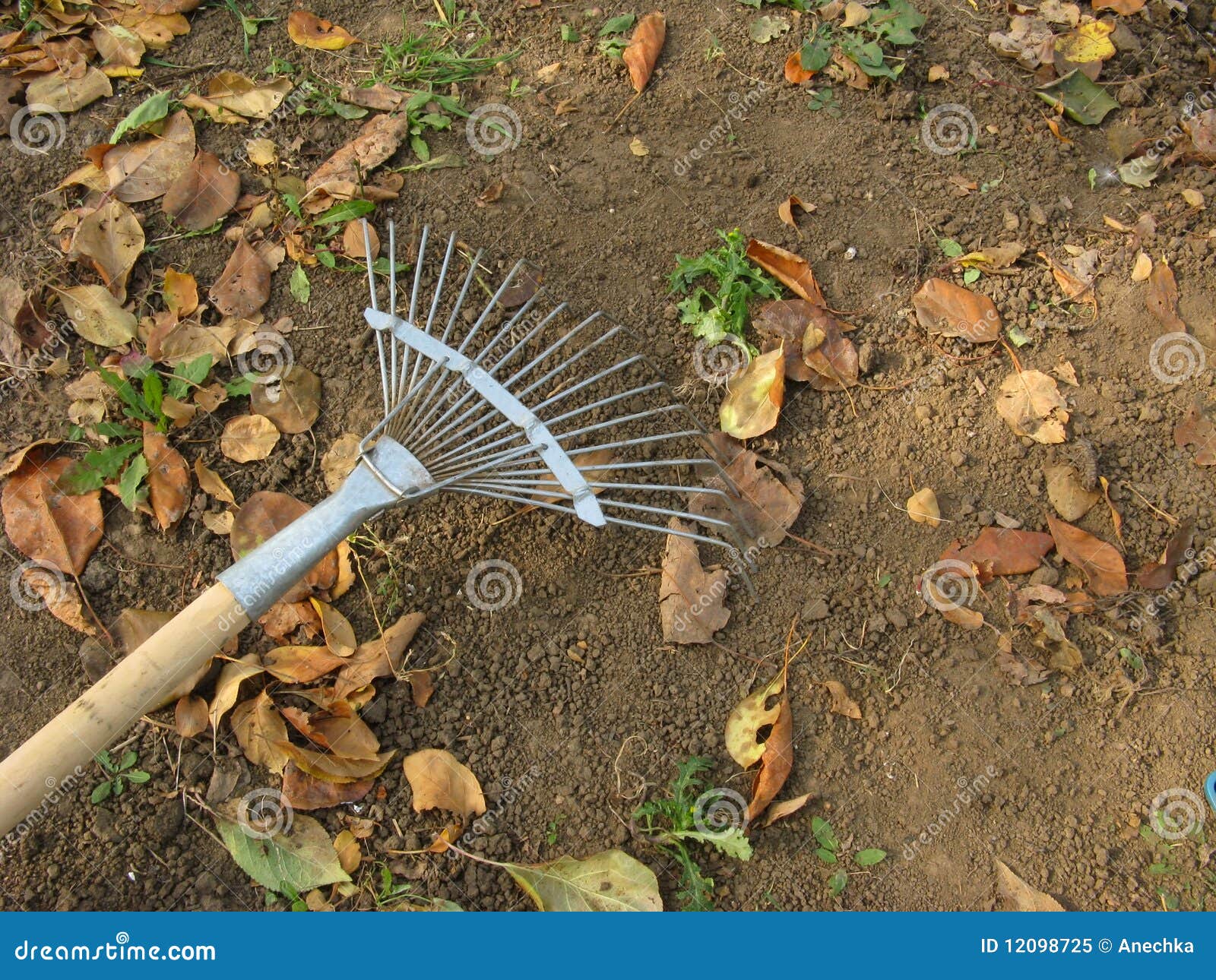 rake