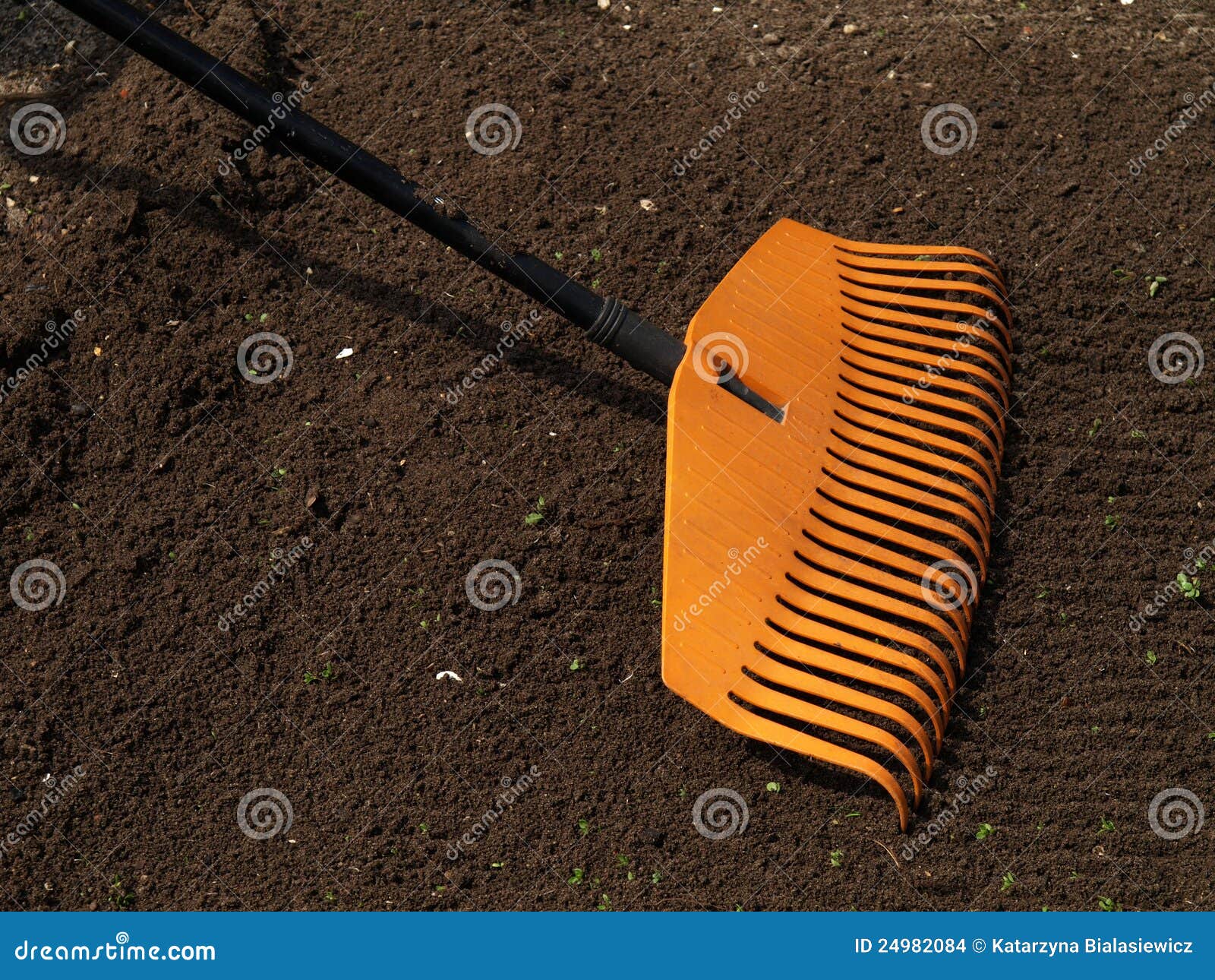 Rake stock photo. Image of spring, agriculture, orange 24982084