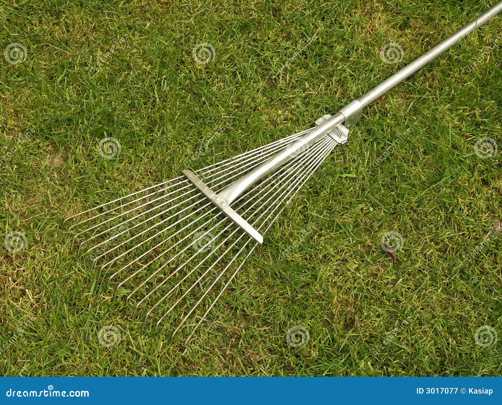 Rake stock image. Image of order, rakes, farm, ground - 3017077