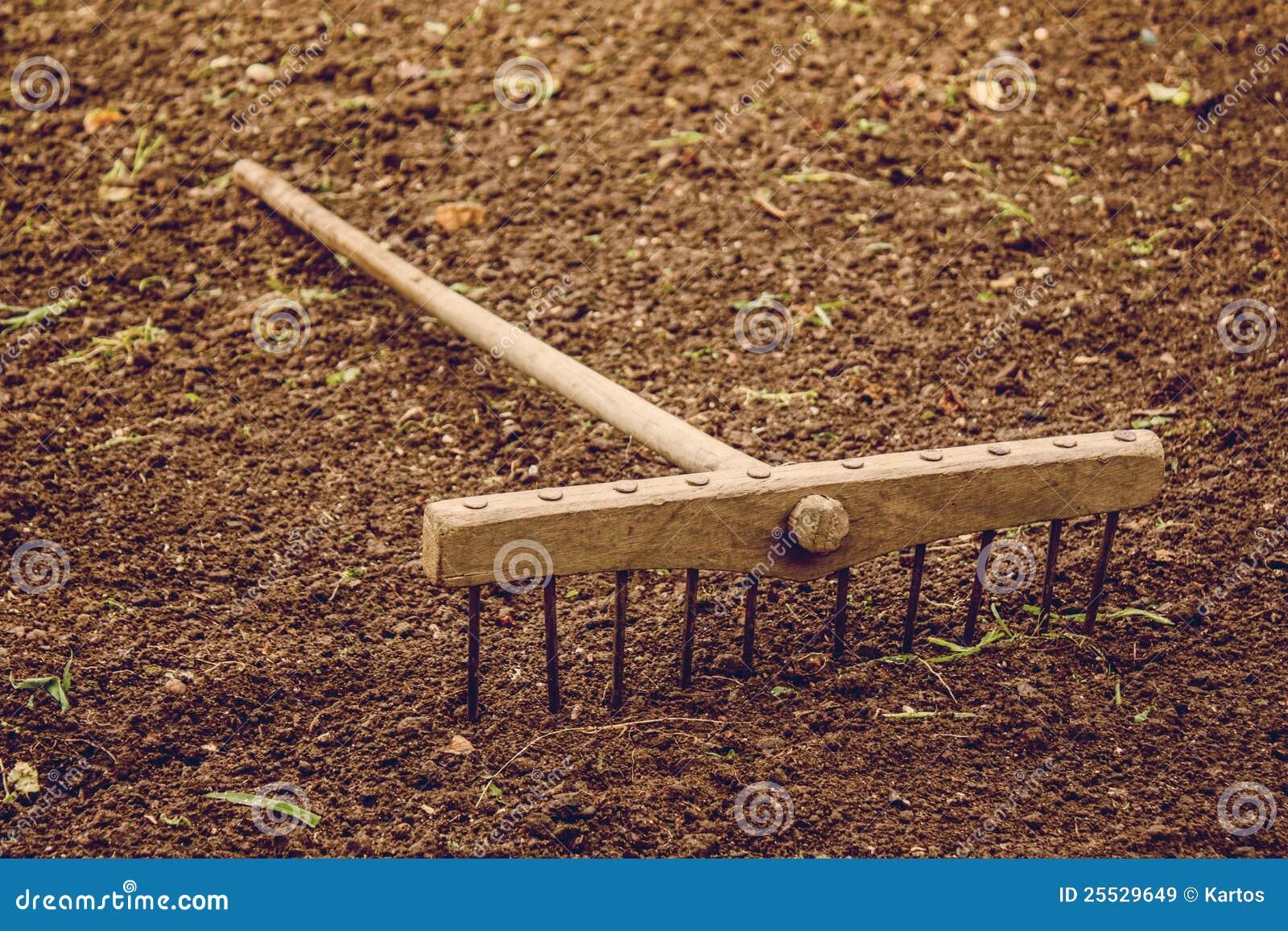 Rake on field stock image. Image of earth, care, environment - 25529649