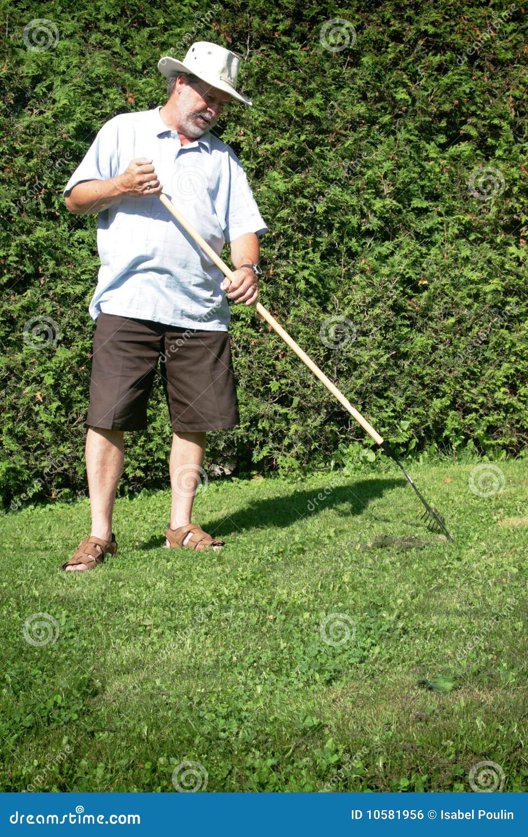 Rake gardening stock photo. Image of home, looking, male 10581956