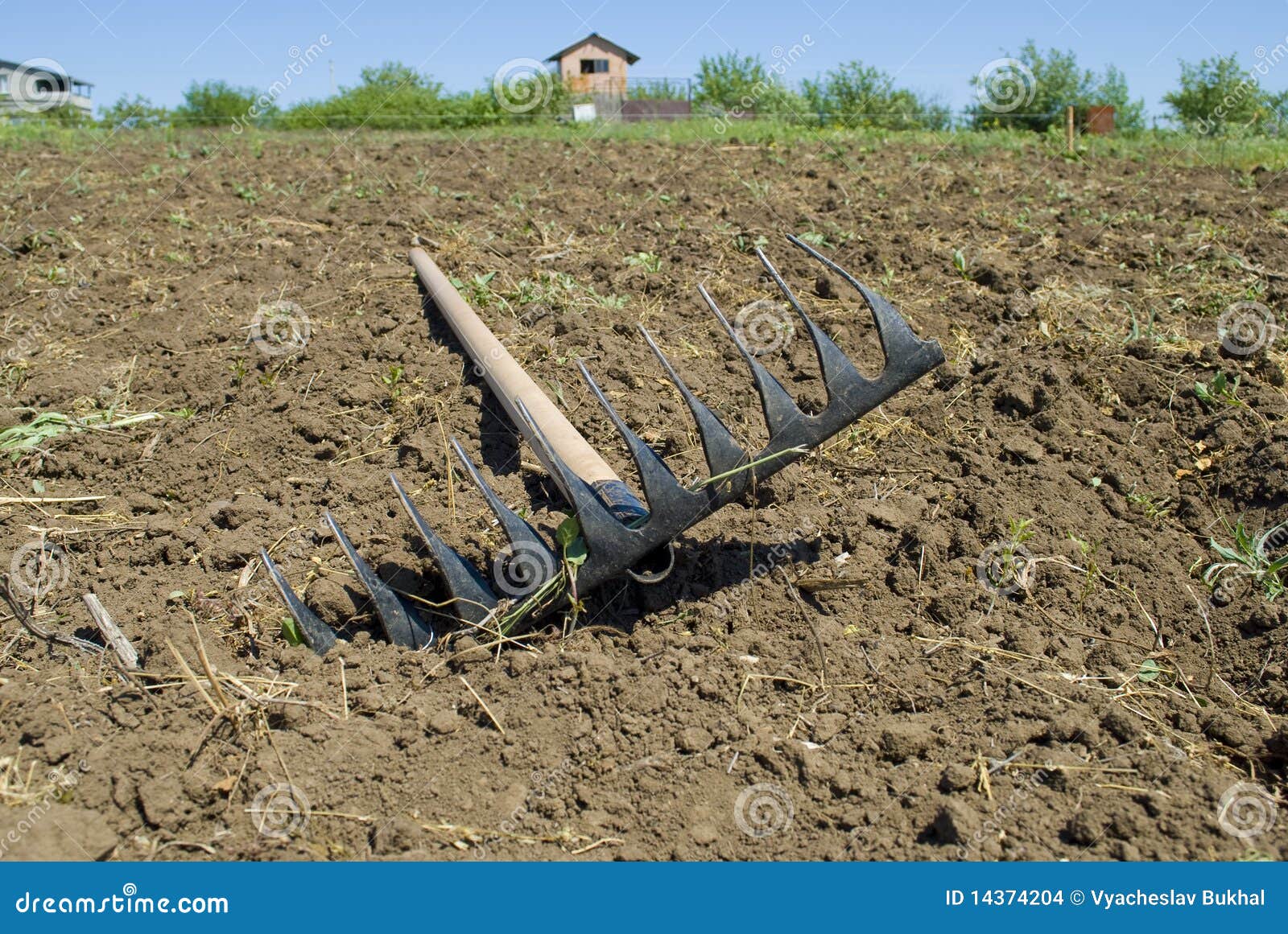 rake lying on the plowed plot