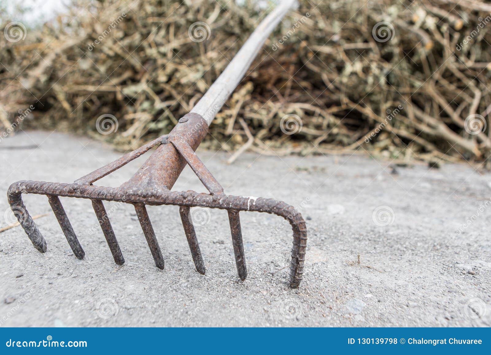 The rake is rusty stock photo. Image of industry, rake - 130139798