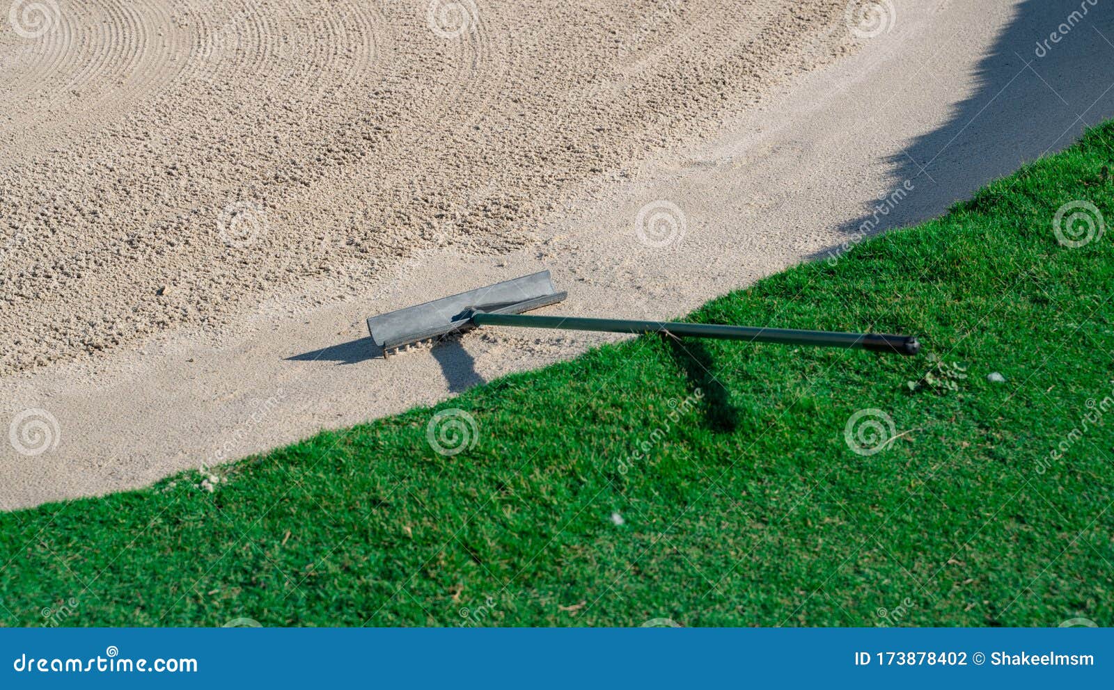 Rake in the Sand Trap on a Golf Course Stock Photo Image of grass