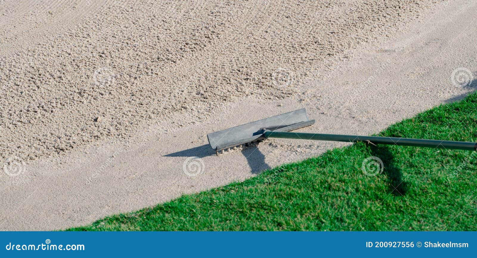 Rake in the Sand Trap on a Golf Course Stock Photo Image of etiquette