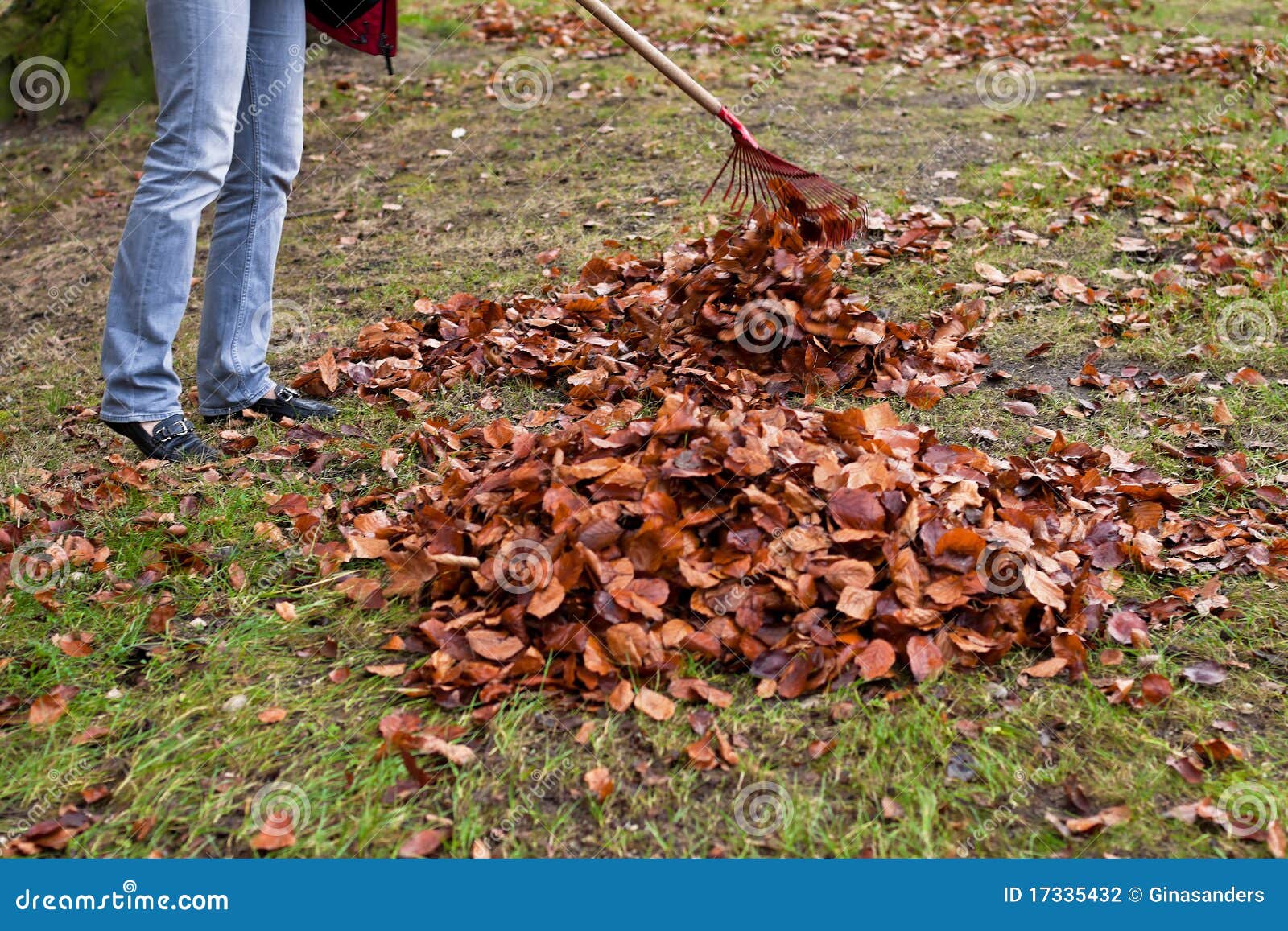 Raking Leaves. Remove Leaves Stock Photo Image of raking, wire 17335432