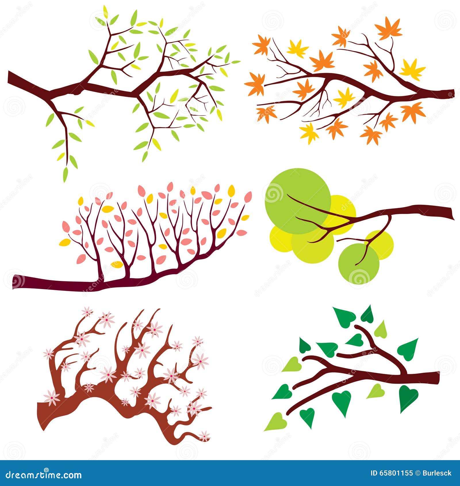Rama De árbol Con Las Hojas Y Las Flores Sistema Del Vector Ilustración del  Vector - Ilustración de floral, elemento: 65801155