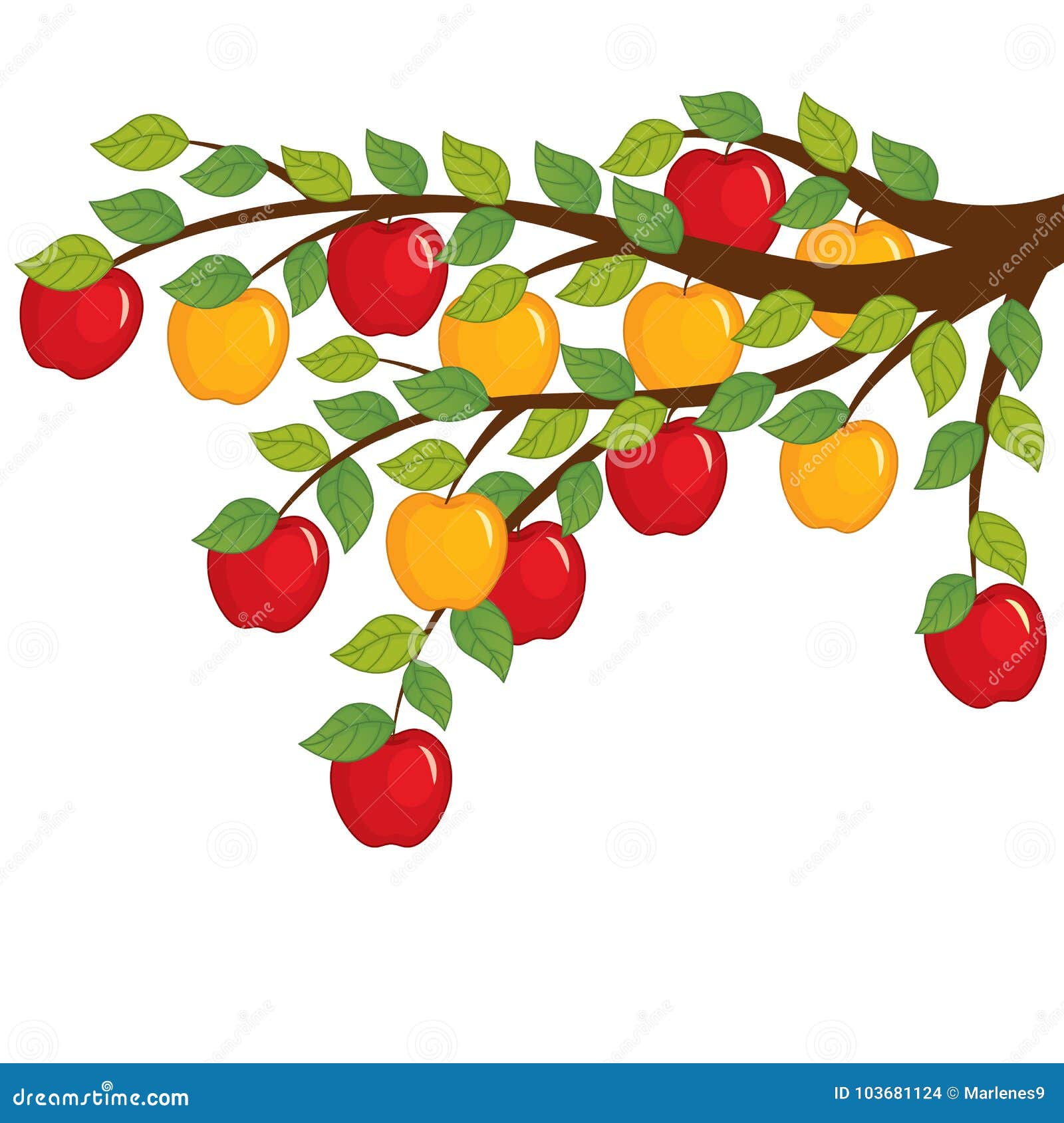 Rama Del Vector Del Manzano Ejemplo Del Vector De La Rama Del Manzano  Ilustración del Vector - Ilustración de digital, verano: 103681124, image size:1600x1690