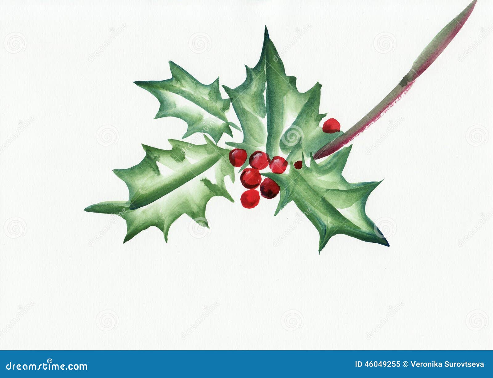 Rama verde del acebo. Pintura de la acuarela de la rama del acebo en blanco Símbolo de la Navidad y del Año Nuevo