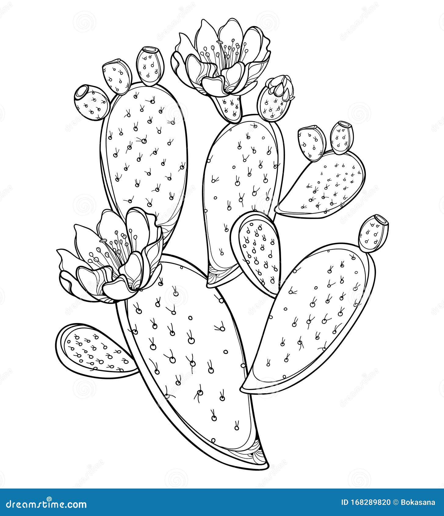 Cacto Na Ilustração Preto E Branco Do Vetor Da Garatuja Dos Desenhos  Animados Do Esboço Do Vaso De Flores Ilustração Stock - Ilustração de  botânica, feliz: 109340325