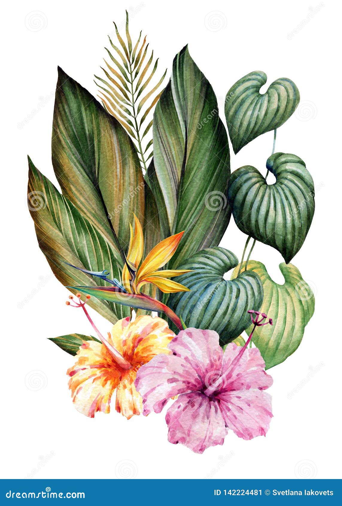 Ramalhete Das Folhas E De Flores Tropicais Desenho Da Aguarela Ilustração  Stock - Ilustração de fundo, perfeita: 142224481