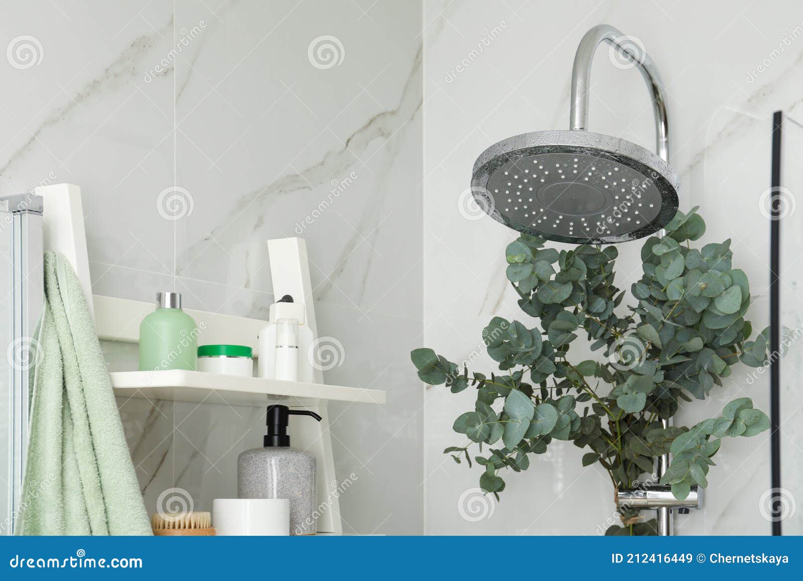 Ramas Con Eucalipto Verde En Ducha Imagen de archivo Imagen de