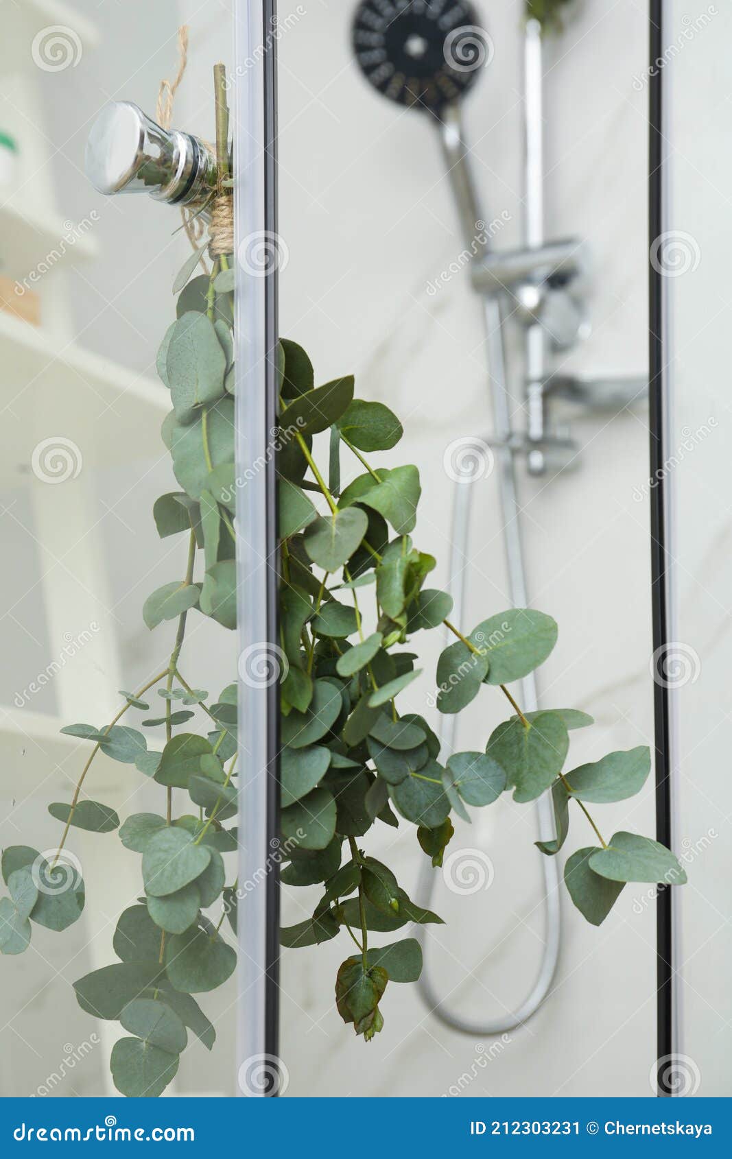 Ramas Con Hojas De Eucalipto Verde En La Ducha Imagen de archivo