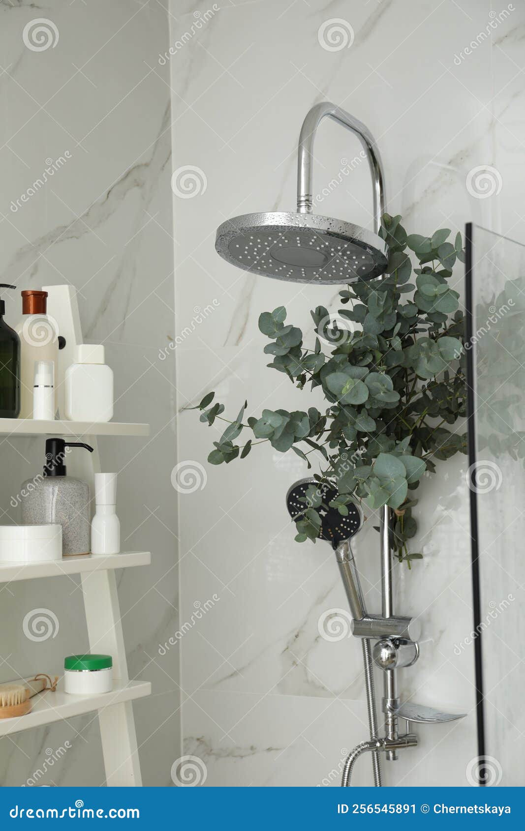 Ramas Con Hojas De Eucalipto Verde En La Ducha Imagen de archivo