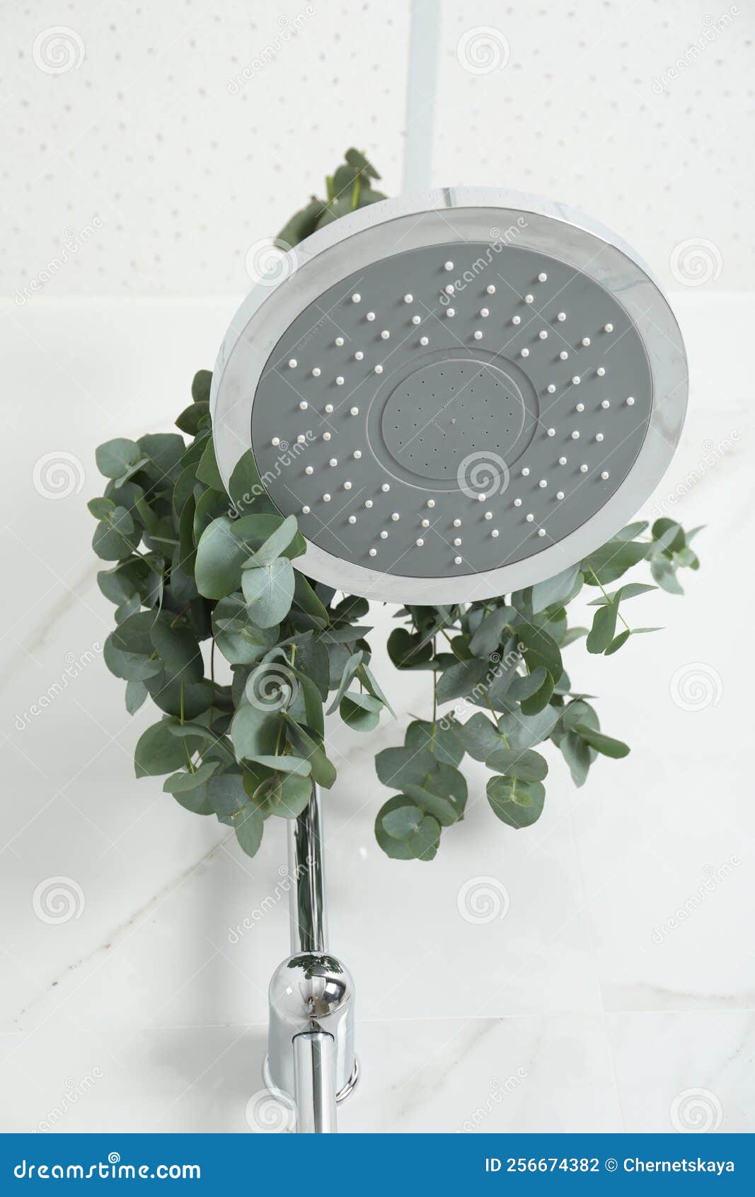 Ramas Con Hojas De Eucalipto Verde En La Ducha Foto de archivo Imagen