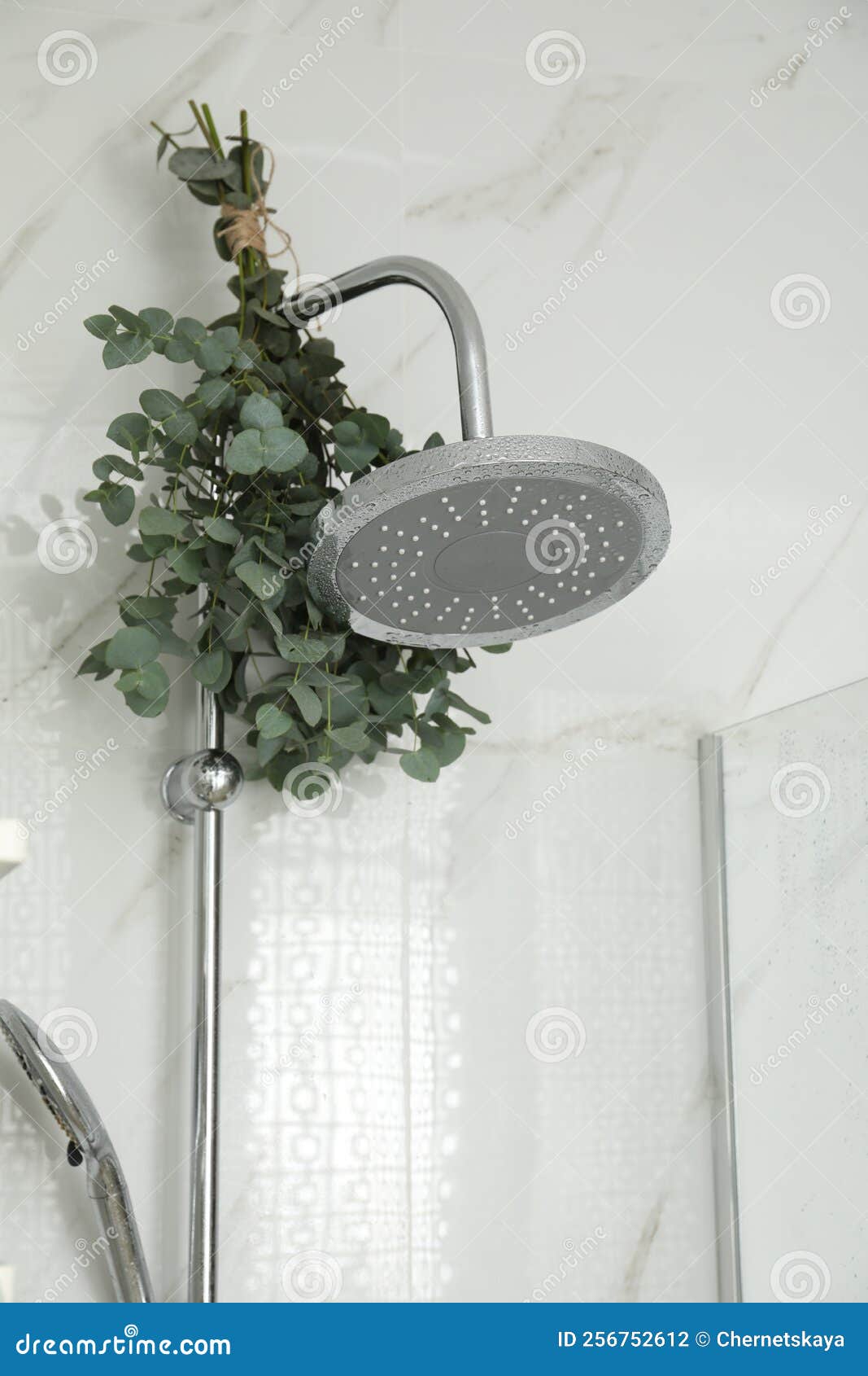 Ramas Con Hojas De Eucalipto Verde En La Ducha Foto de archivo Imagen