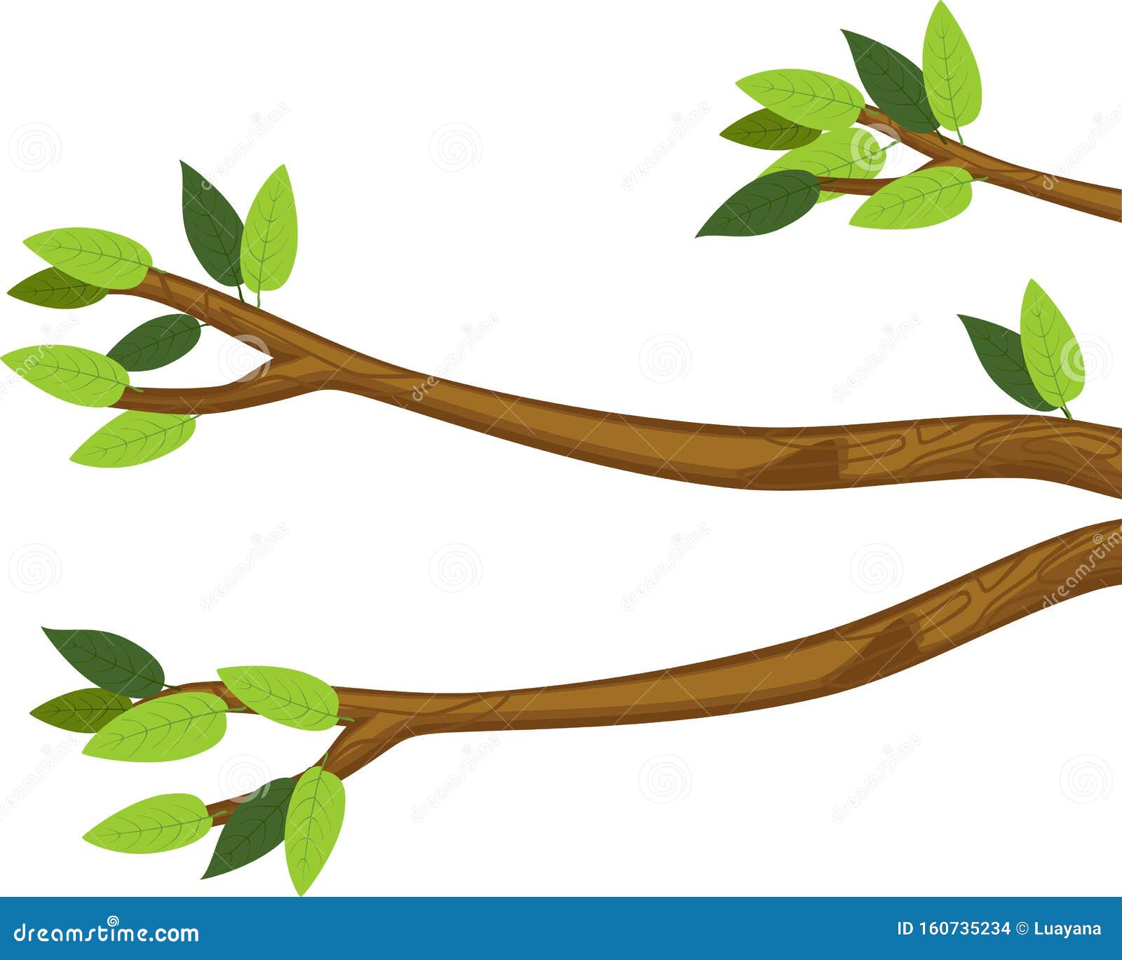 Ramas De árboles De Dibujos Animados Con Hojas Verdes Ilustración del  Vector - Ilustración de verde, planta: 160735234