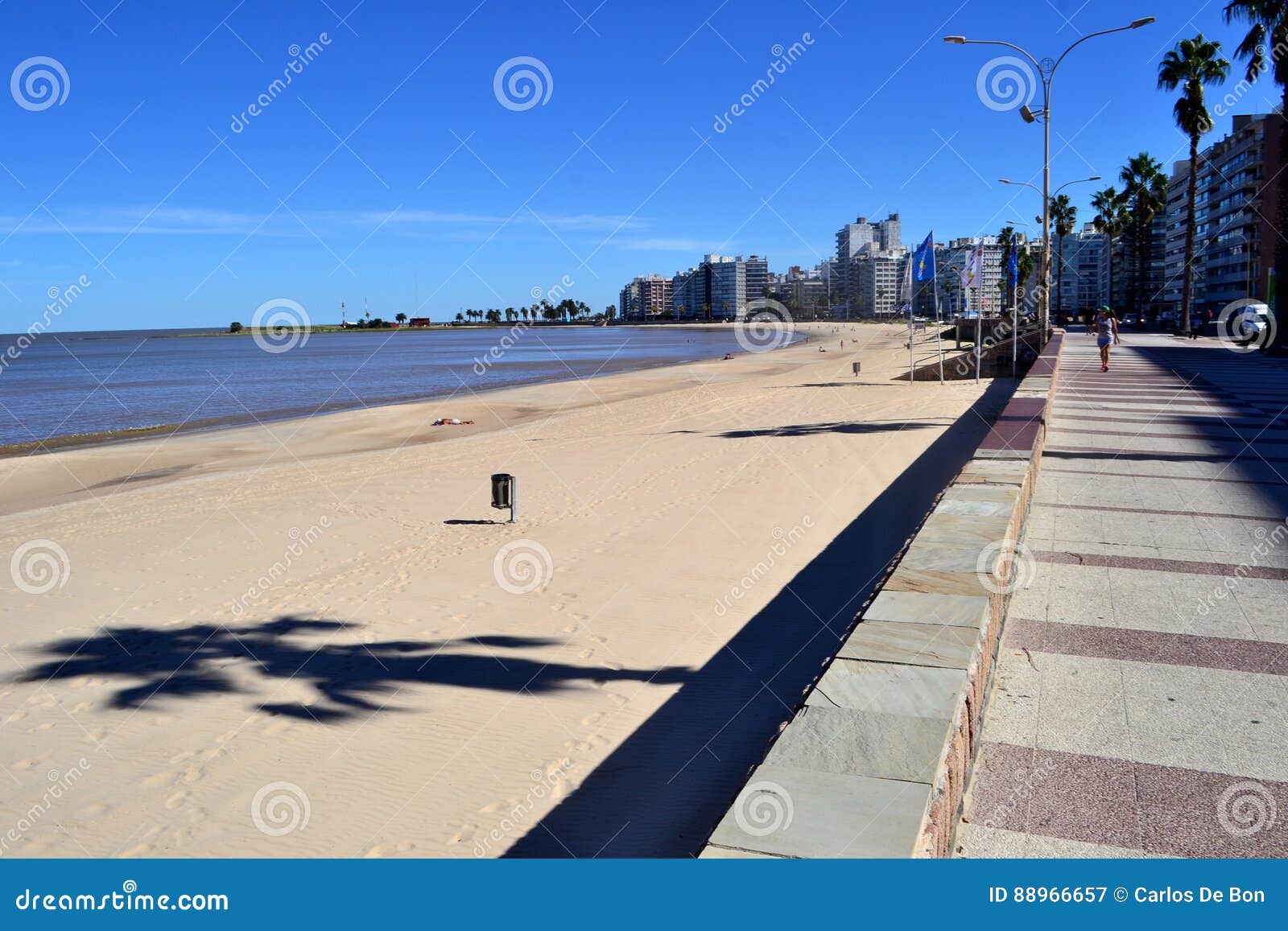 rambla de la playa pocitos