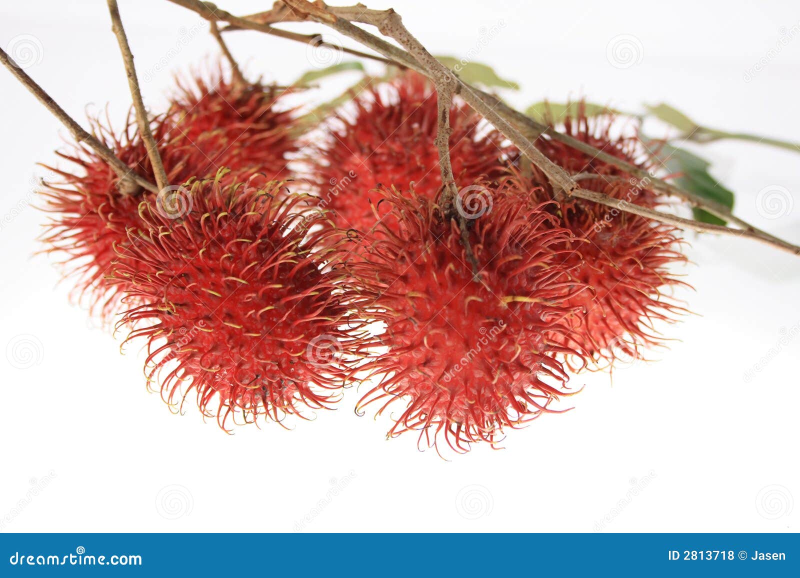 Rambutan för Asien fruktnamn med söt smaklig trämassa