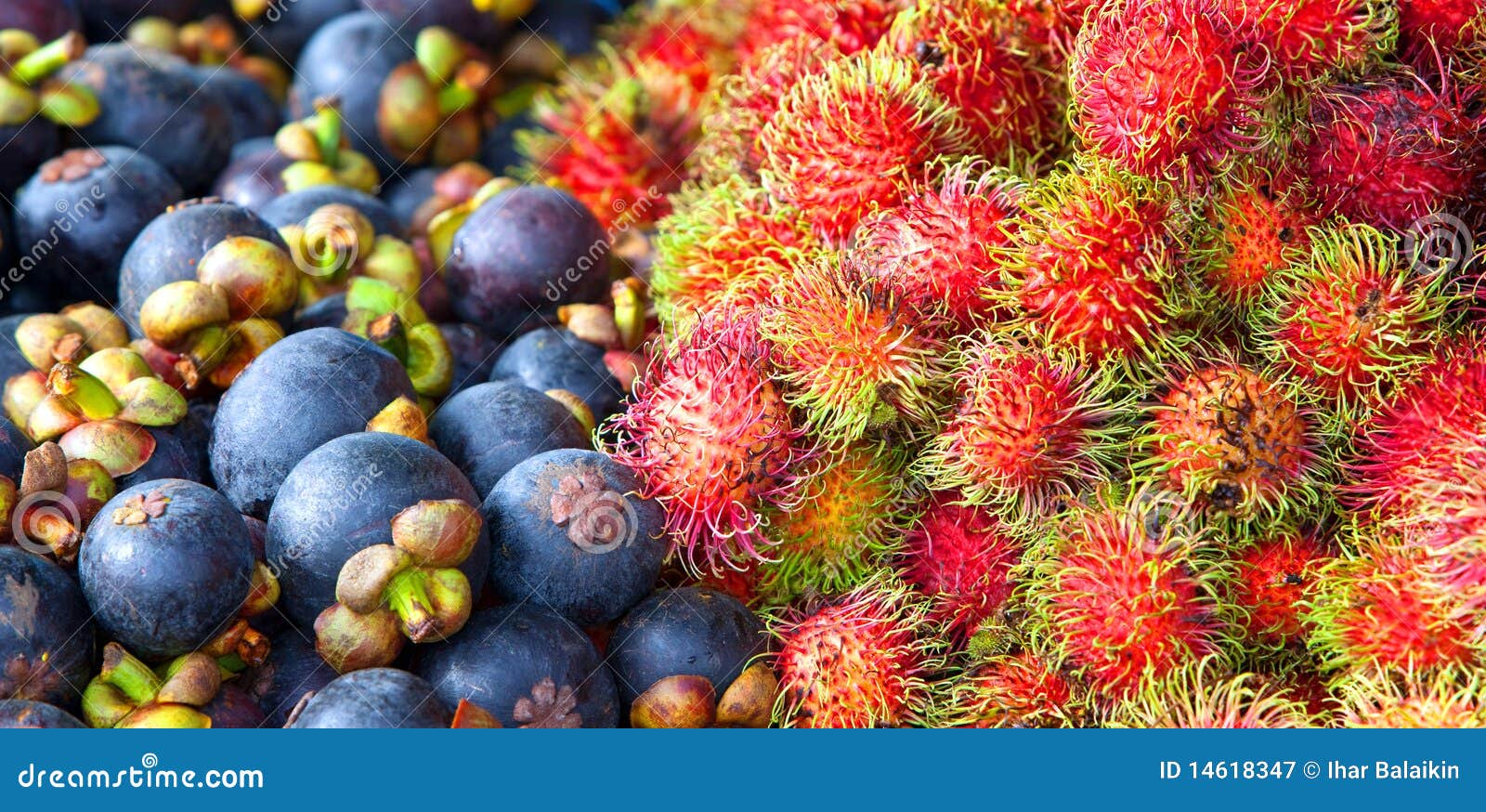 Rambutan and Mangosteen stock image. Image of green, exotic 14618347
