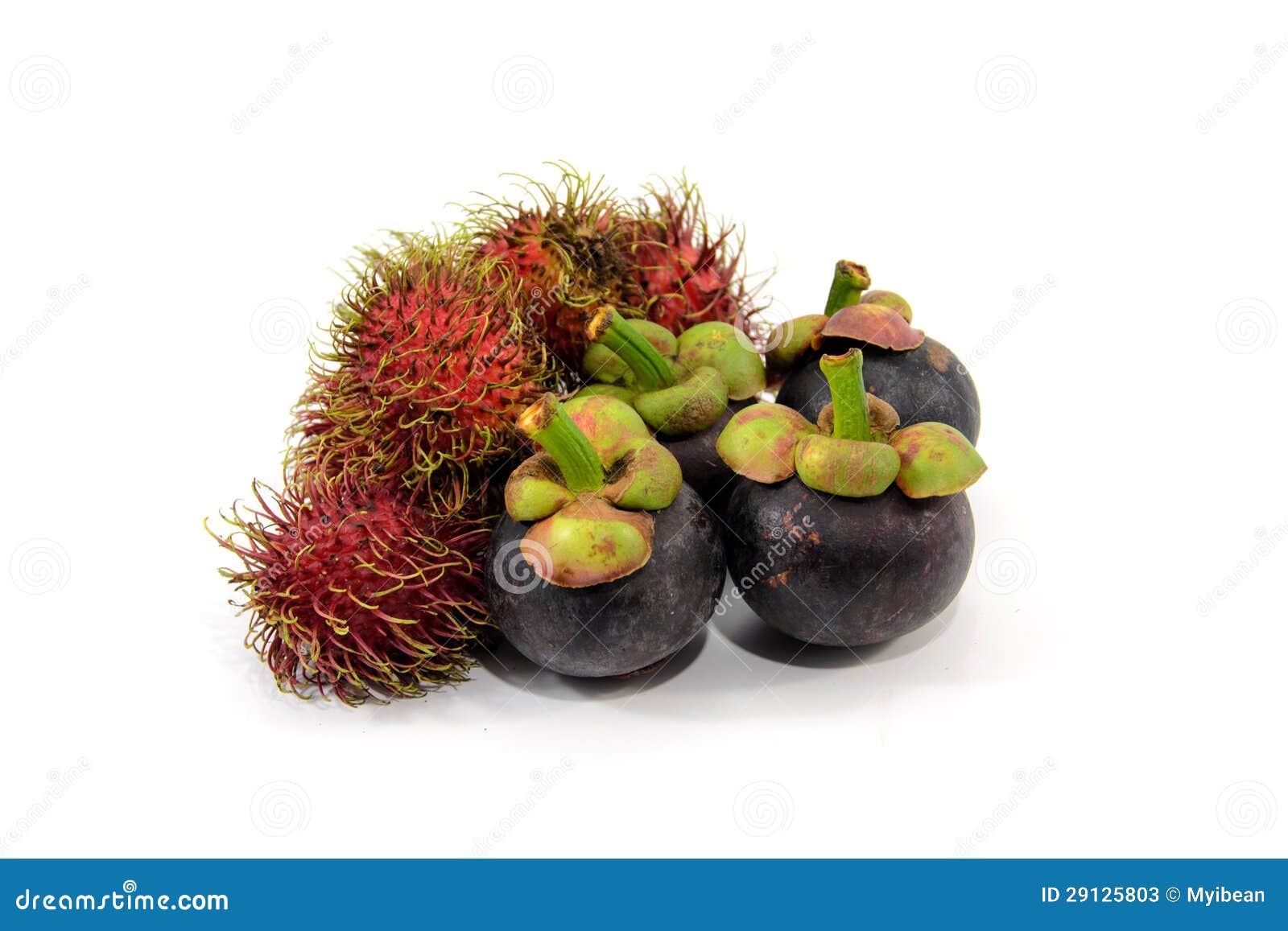 Rambutan and Mangosteen stock image. Image of juice, ripe 29125803