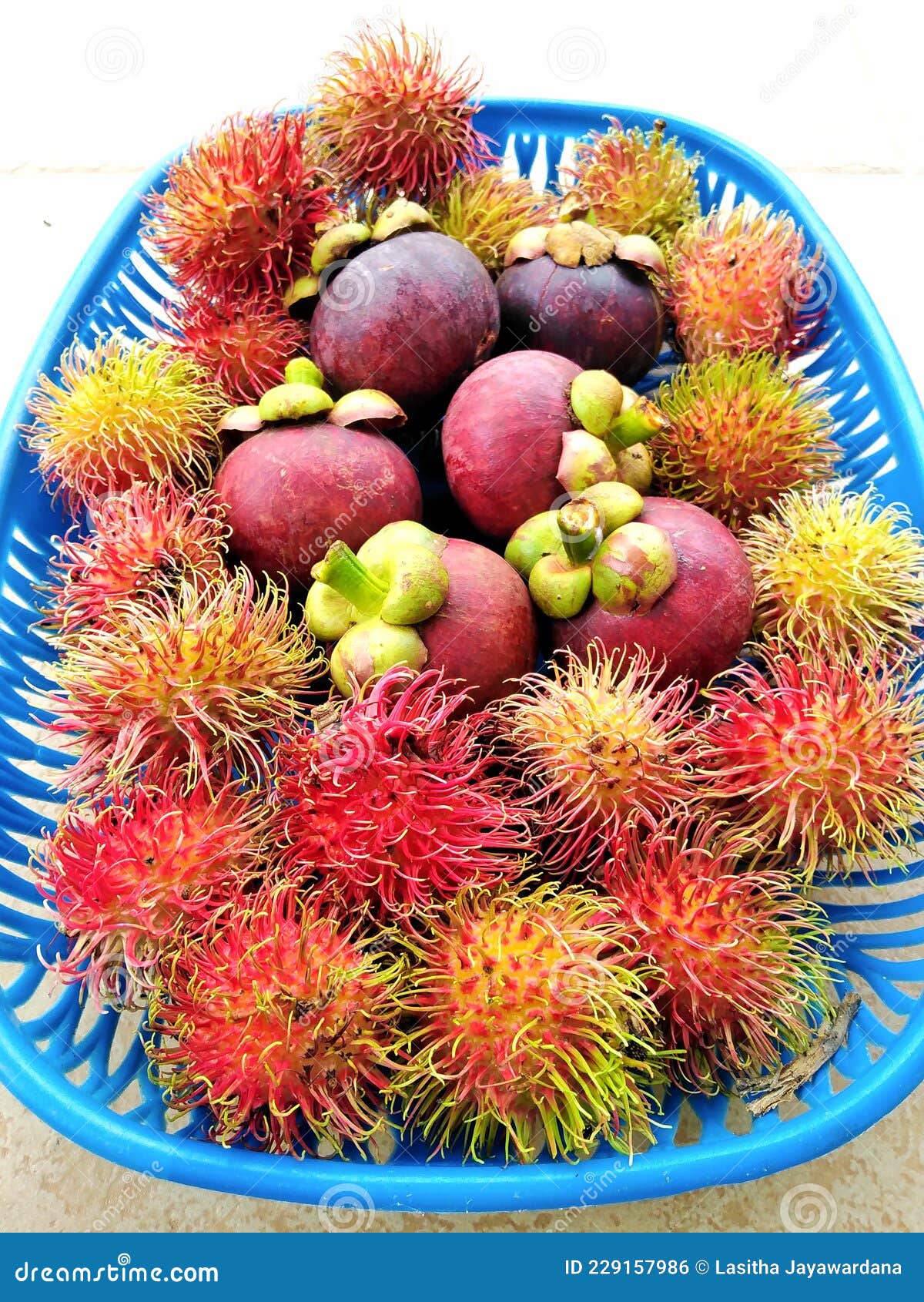 Bunch of Organic Fresh Rambutan & Mangosteen Fruits Stock Photo Image