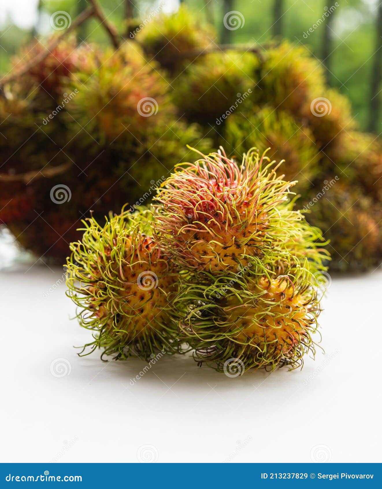 Rambutan Three Fruits Hairy Asia Fruit On Blurry Background Of Fruit