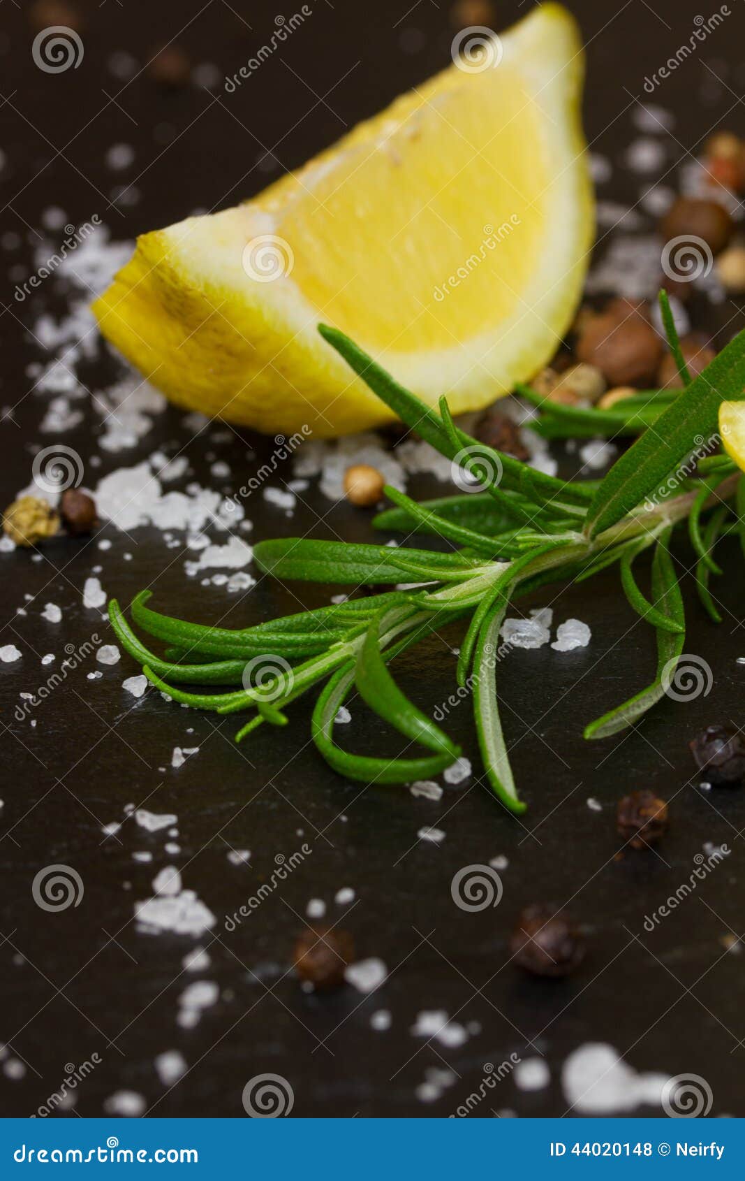 Ramita De Rosemary Con Las Especias Foto de archivo Imagen de blanco