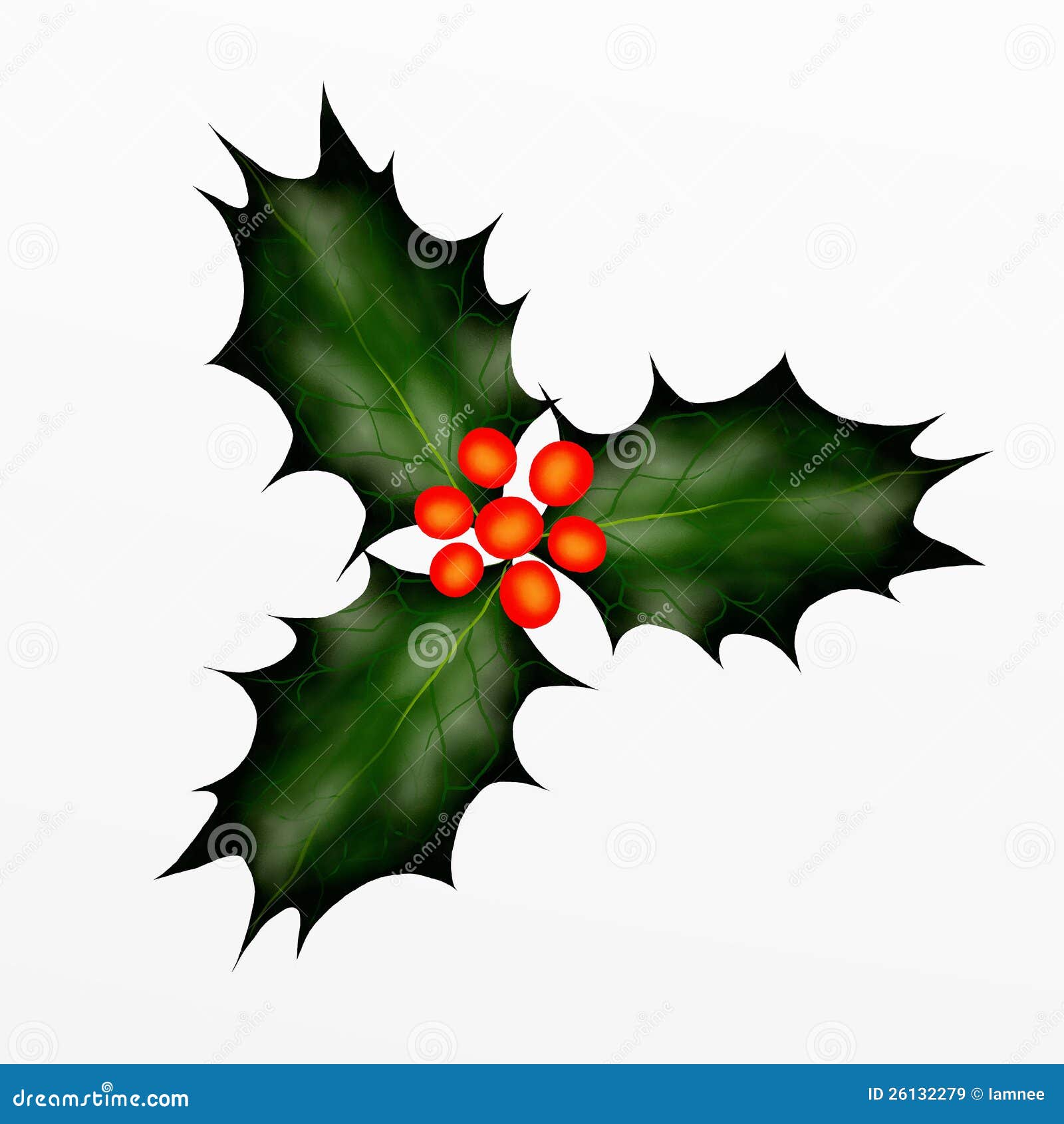 Ramita Del Acebo De La Navidad Para La Nochebuena. Stock de ilustración -  Ilustración de hoja, fruta: 26132279