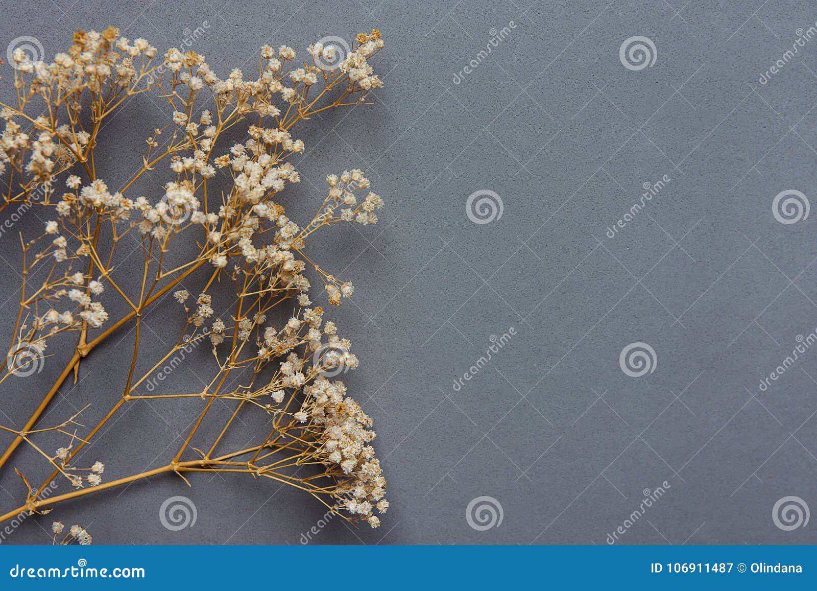 Ramitas De Las Pequeñas Flores Secas Blancas De La Primavera En Fondo Negro  En Estilo Del Vintage Día Del ` S De La Madre De Pasc Imagen de archivo -  Imagen de