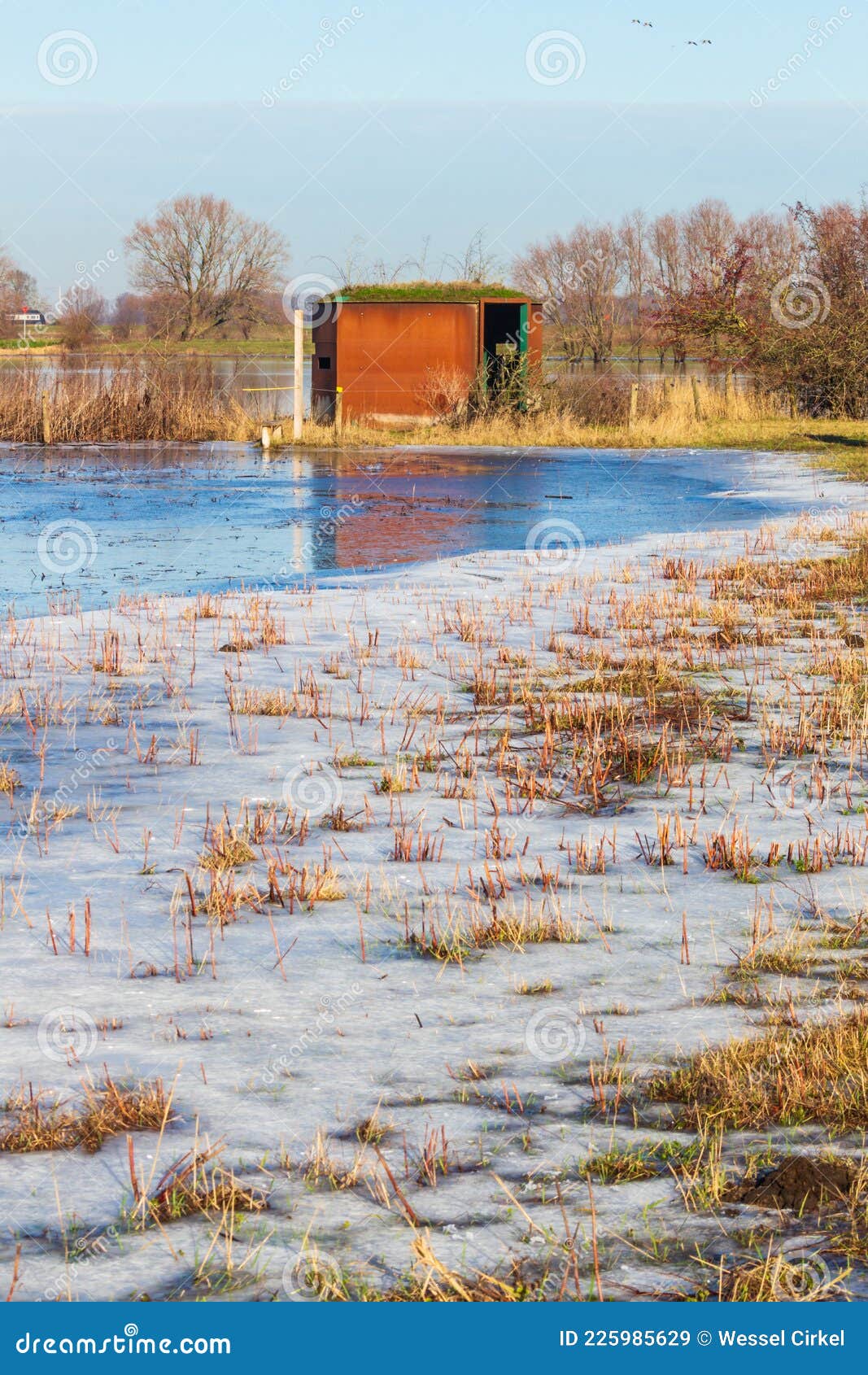 birdwatching hide in frozen rammelwaard landscape, netherlands