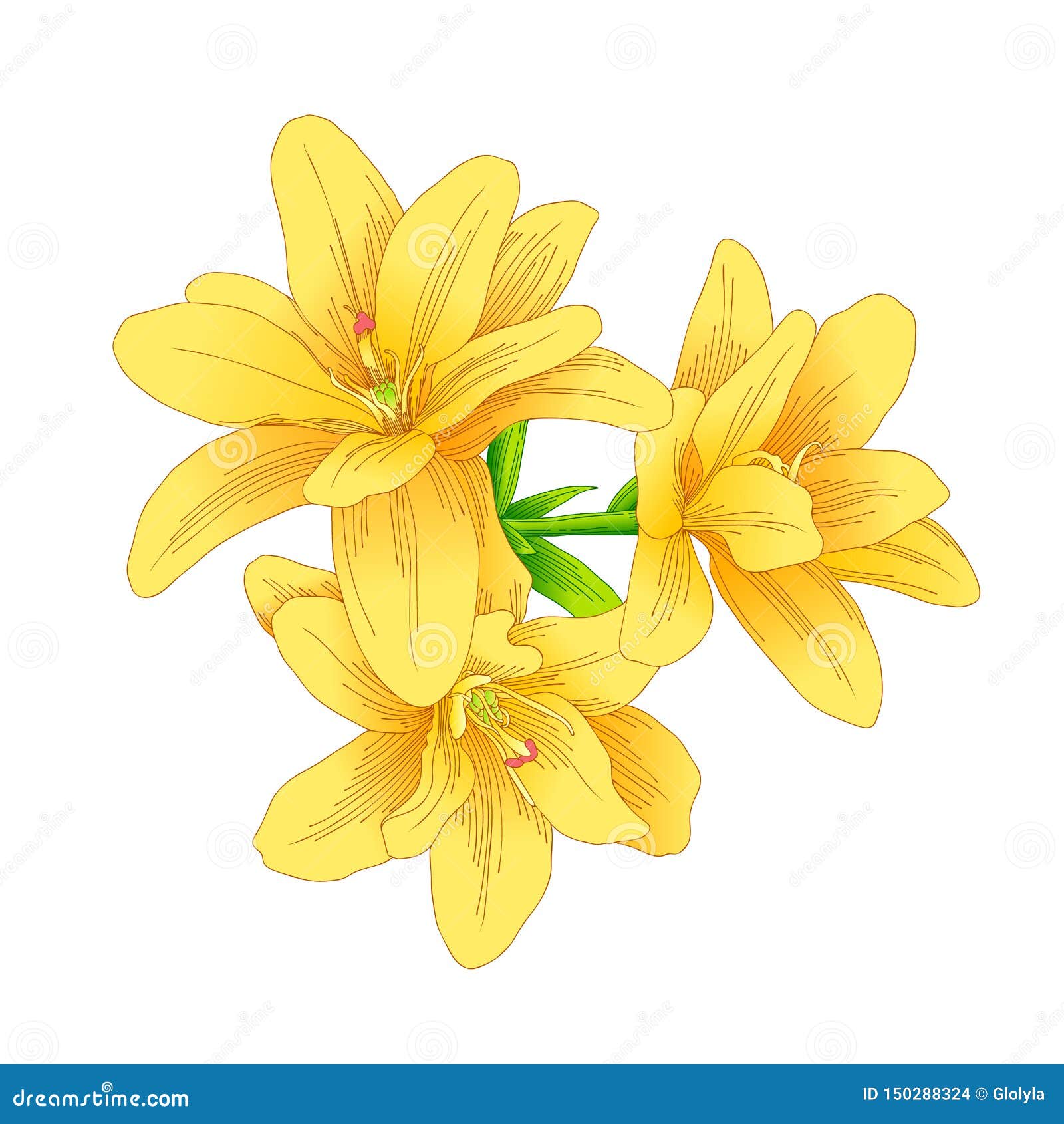 Ramo de flor amarilla ilustración del vector. Ilustración de grupo -  150288324