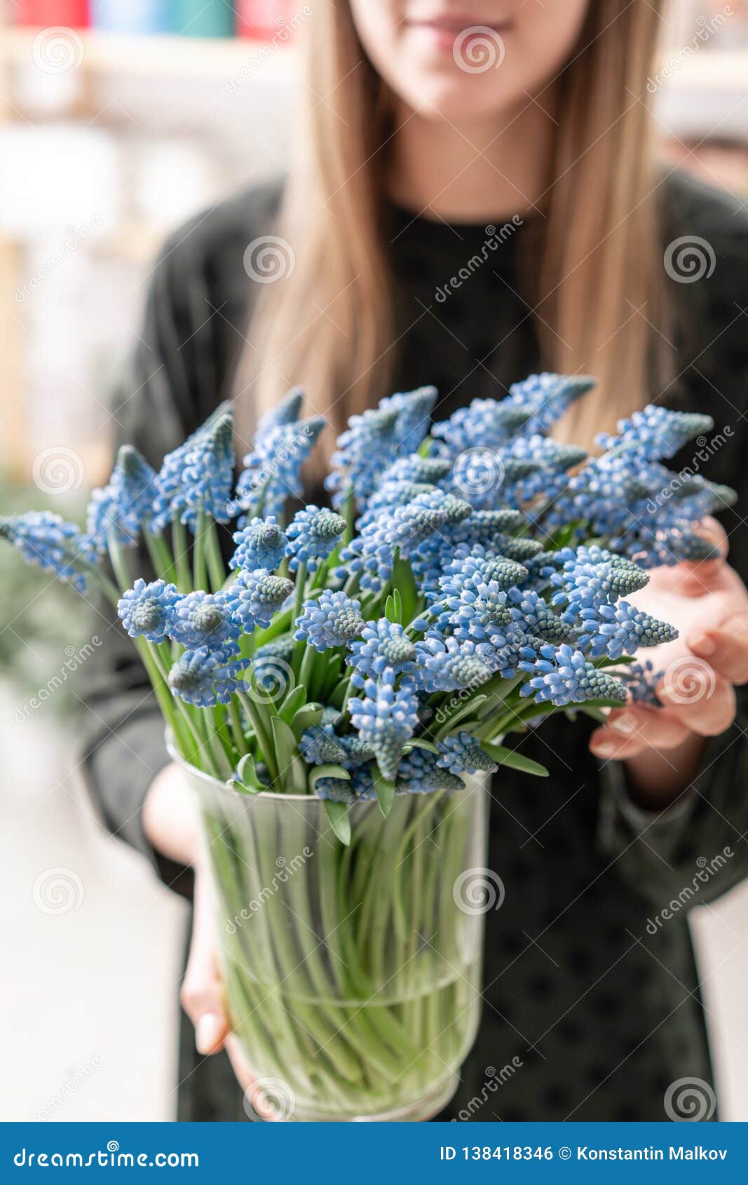 Ramo De Flores Azules Del Muscari En El Florero De Cristal En Manos De La  Mujer Flores Con Bulbo De La Primavera Concepto De La F Foto de archivo -  Imagen de