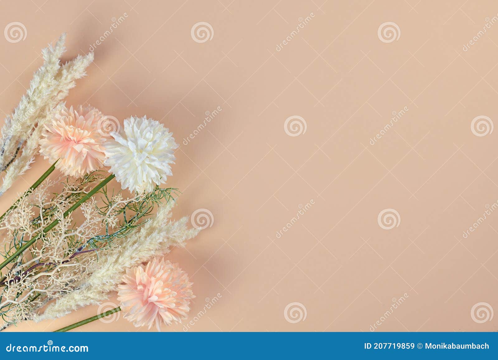 Ramo De Flores Con Hierba De Pampas Y Flores De Dalia En Esquina De Fondo  Beige Imagen de archivo - Imagen de color, hierba: 207719859