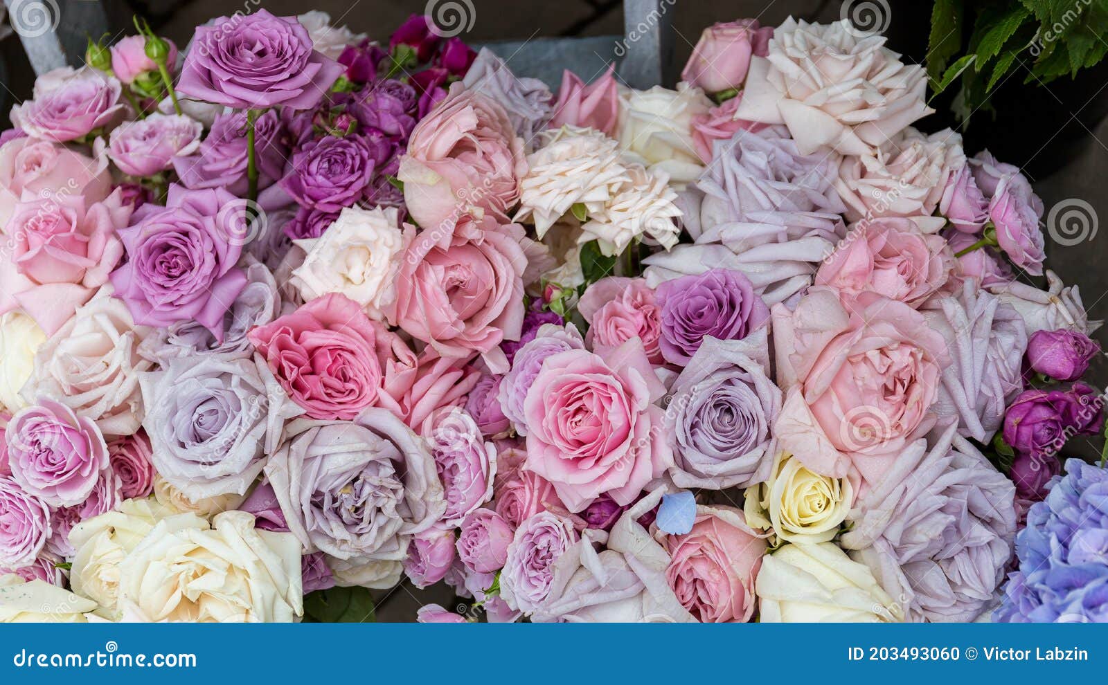 Ramo De Flores Con Lila Rosa Y Rosas Blancas Foto de archivo - Imagen de  fresco, rosa: 203493060