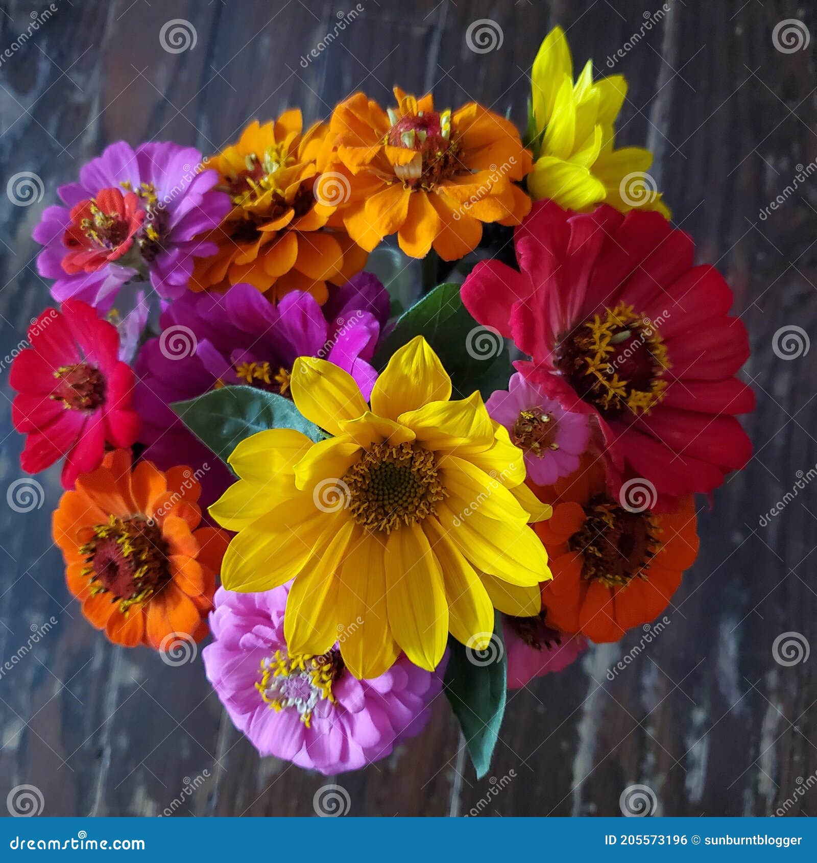 Ramo De Flores En Flor De Colores Vivos Foto de archivo - Imagen de wildflower, flores: 205573196 Ramo De Flores En Flor De Colores Vivos Foto de archivo - Imagen de wildflower, flores: 205573196