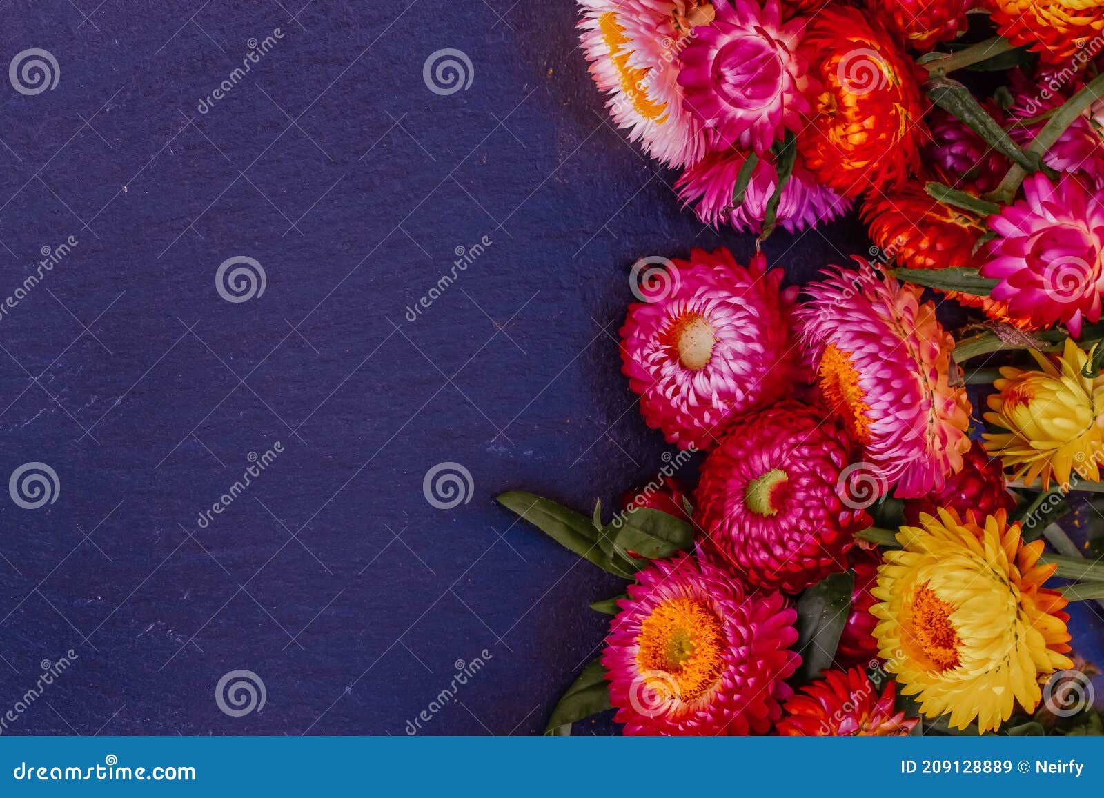 Ramo de flores eternas imagen de archivo. Imagen de fondo - 209128889