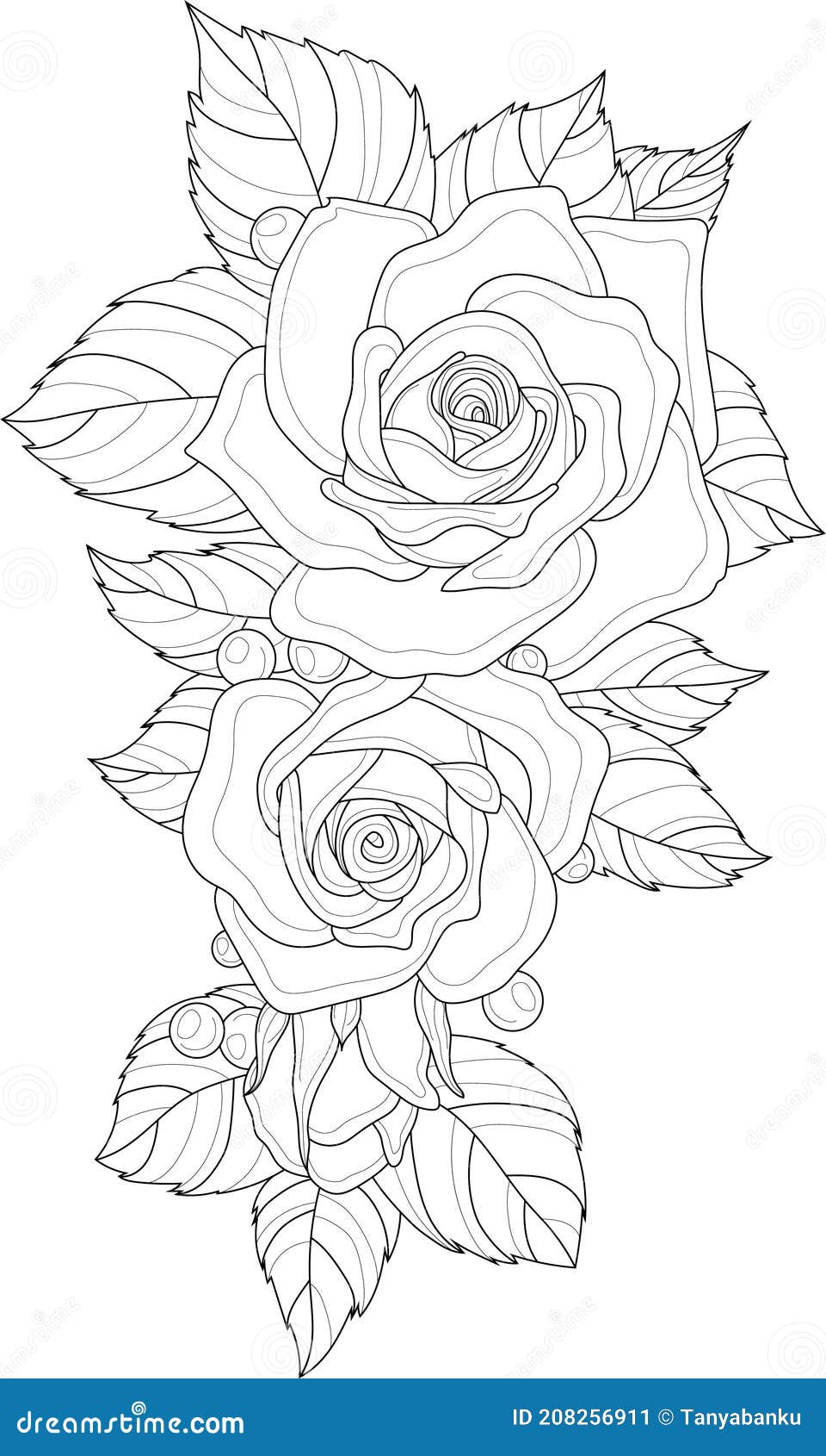 Ramo De Flores De Rosas Realistas Con Hojas De Dibujo Plantilla.  Ilustración del Vector - Ilustración de juegos, adulto: 208256911