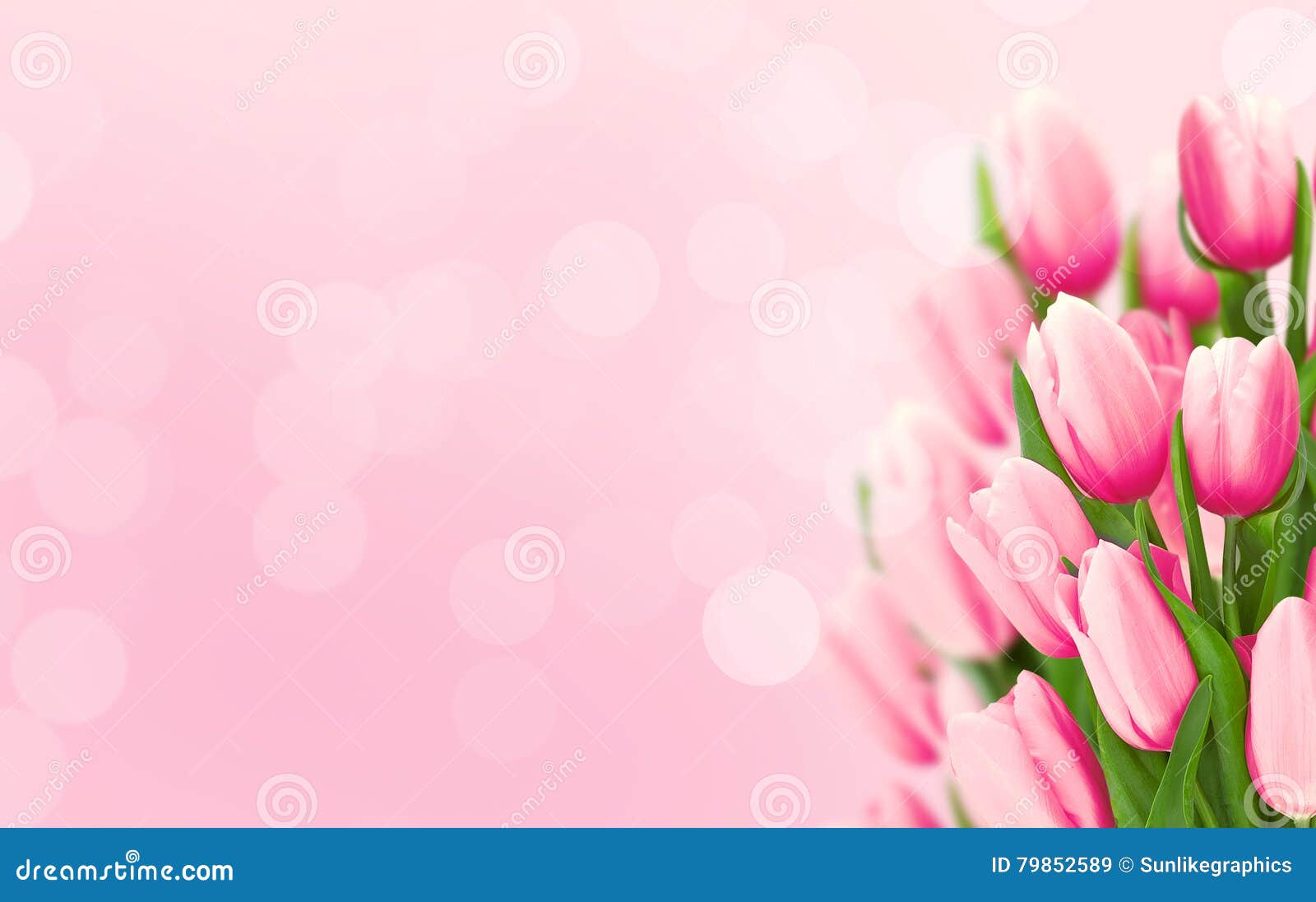 Ramo De Flores Tulipanes Rosados En Fondo Borroso Con La Copia Imagen de archivo - Imagen de madres, floral: 79852589 Ramo De Flores Tulipanes Rosados En Fondo Borroso Con La Copia Imagen de archivo - Imagen de madres, floral: 79852589
