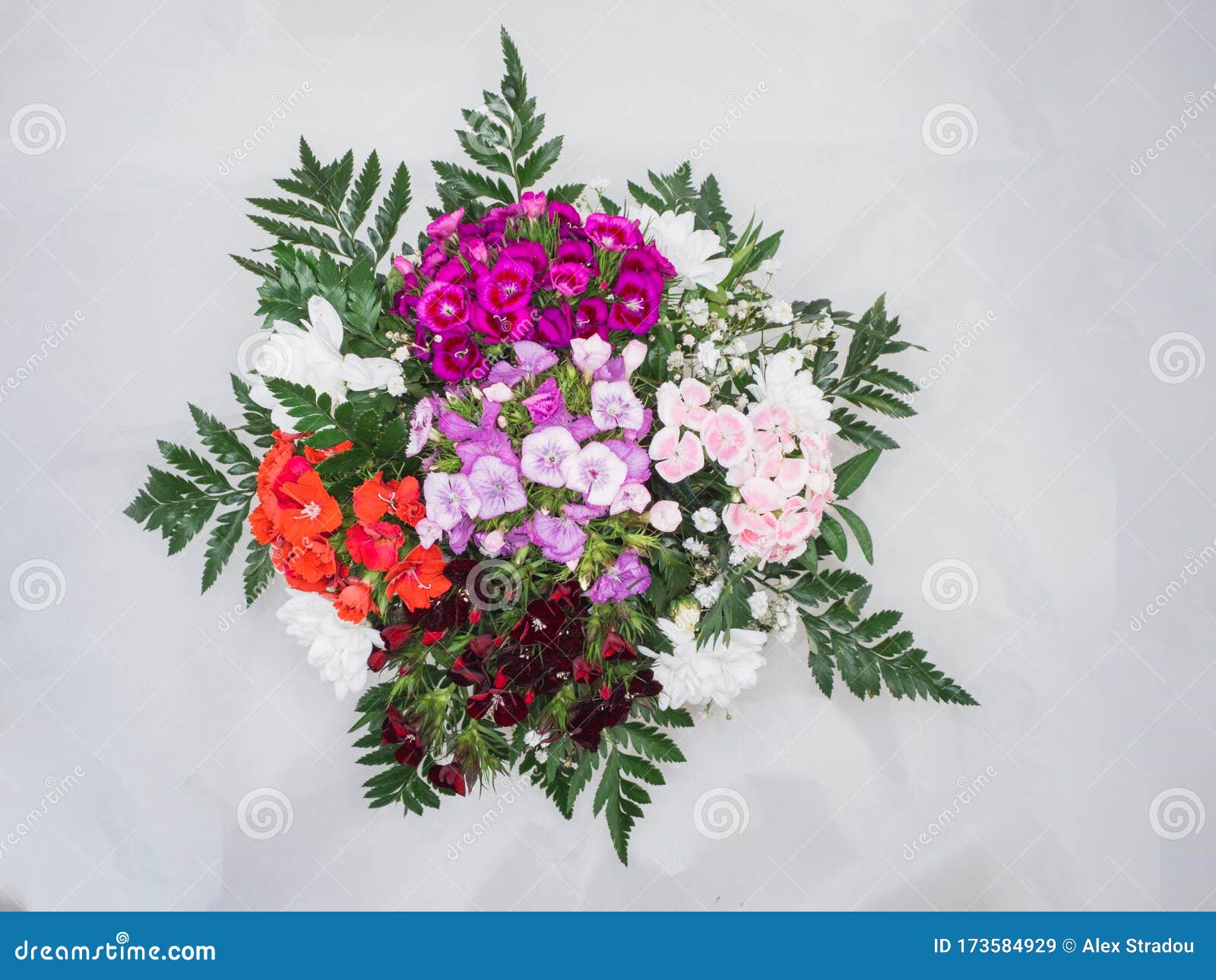 Ramo De Flores Photos - Free u0026 Royalty-Free Stock Photos from 