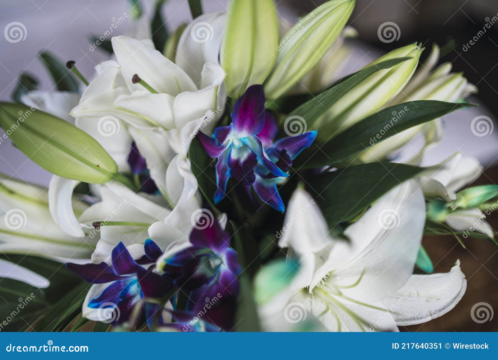 Ramo De Hermosas Azucenas Blancas Y Azules Imagen de archivo - Imagen de  horizontal, boda: 217640351