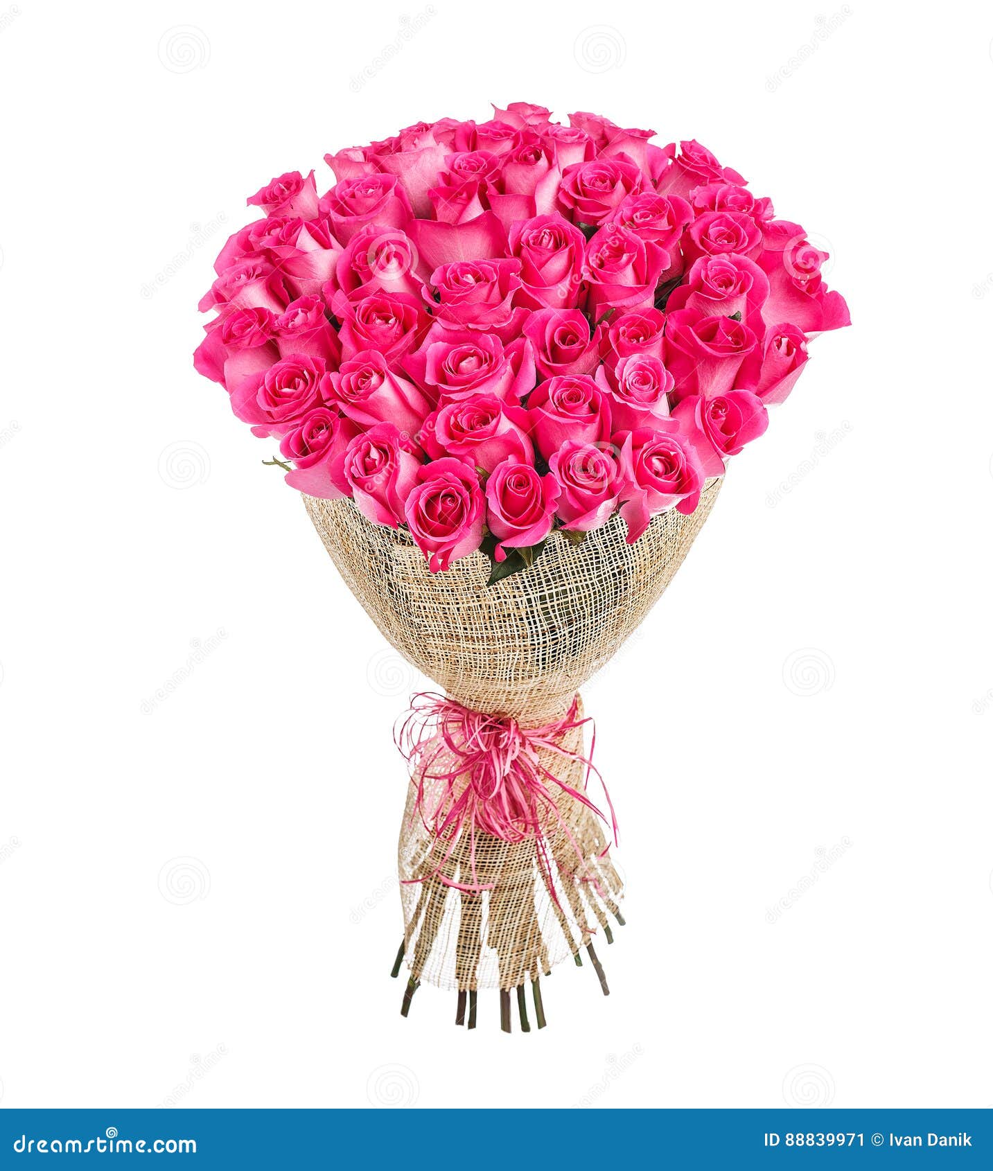 Ramo De La Flor De 50 Rosas Rosadas Imagen de archivo - Imagen de pétalo,  frescura: 88839971