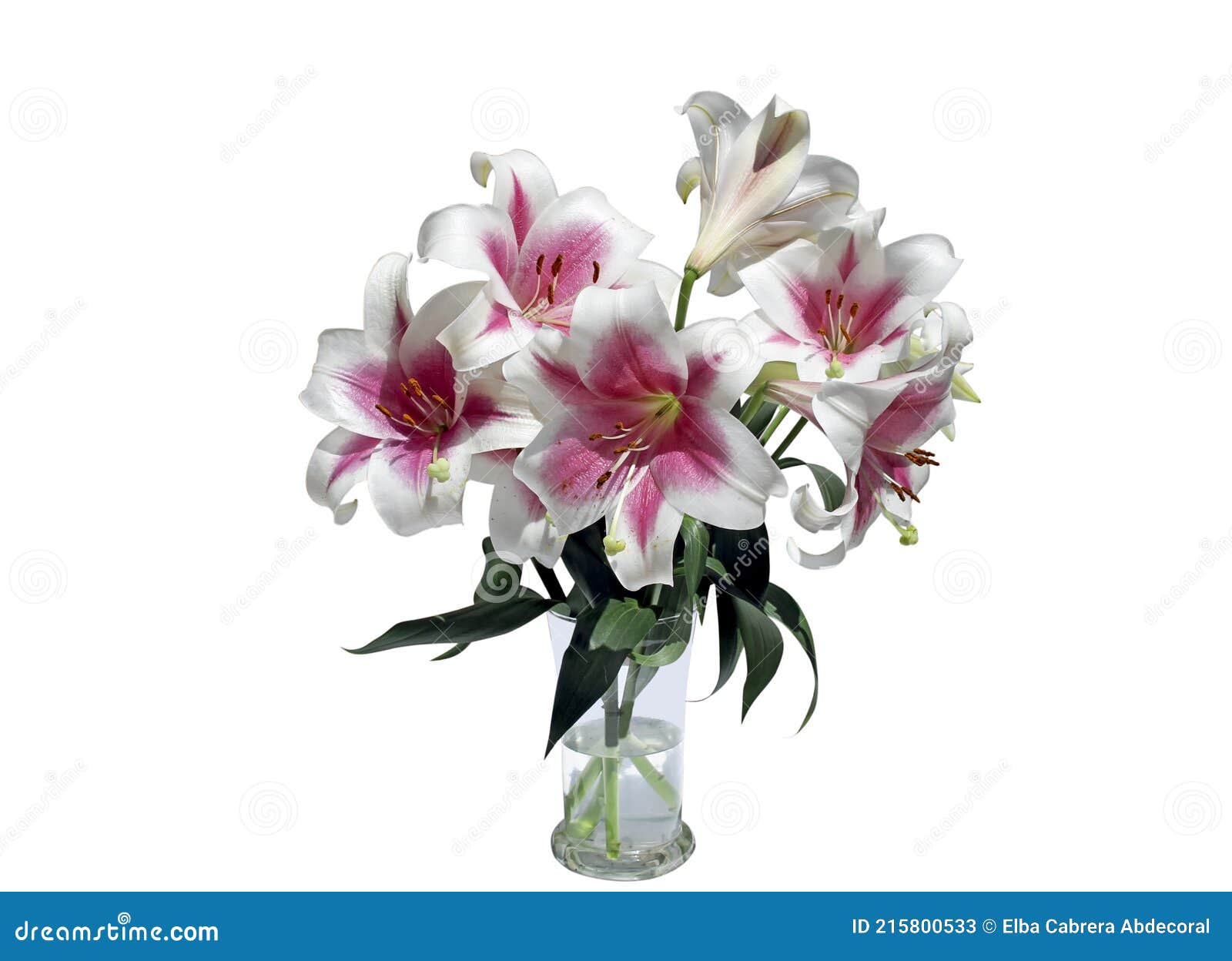 ramo flores de lirio rosa y blano en florero de vidrio sobre fondo blanco