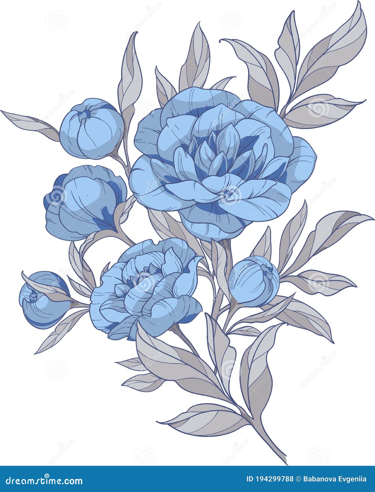 Ramo De Peonías Azules Con Ilustración Vectorial De Hojas Grises  Ilustración del Vector - Ilustración de fondo, flora: 194299788