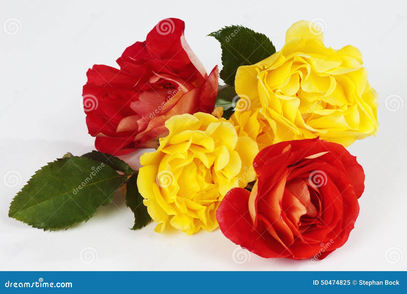 Ramo De Rosas Rojas Y Amarillas En El Fondo Blanco Imagen de archivo -  Imagen de verano, rojo: 50474825